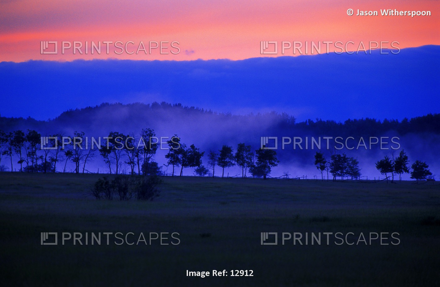 Sunrise Over Field With Trees