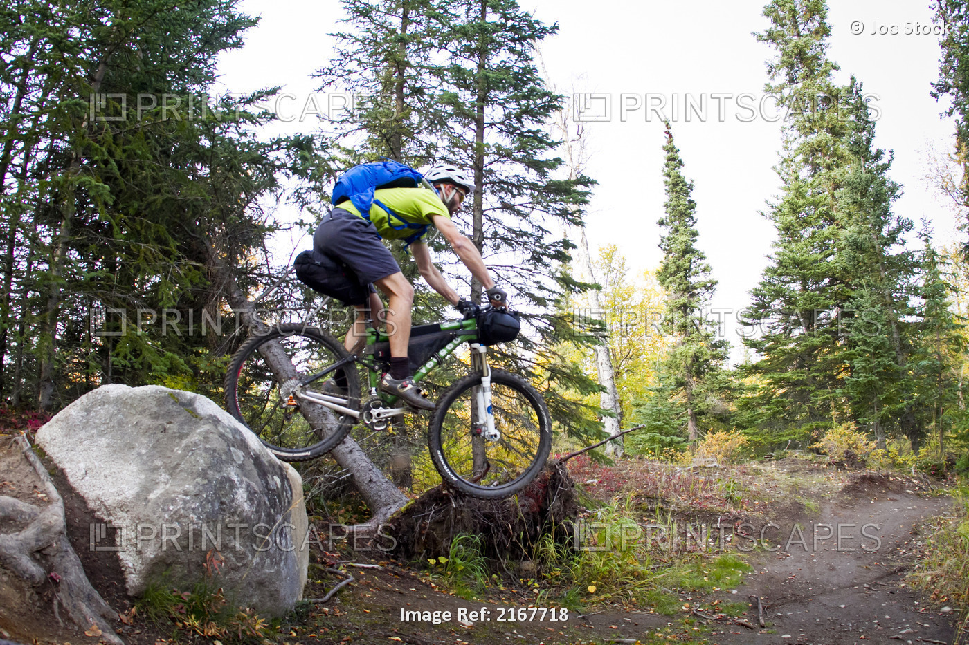 Man Mountain Biking Over Rocks, Anchorage Hillside Trails, Southcentral Alaska, ...