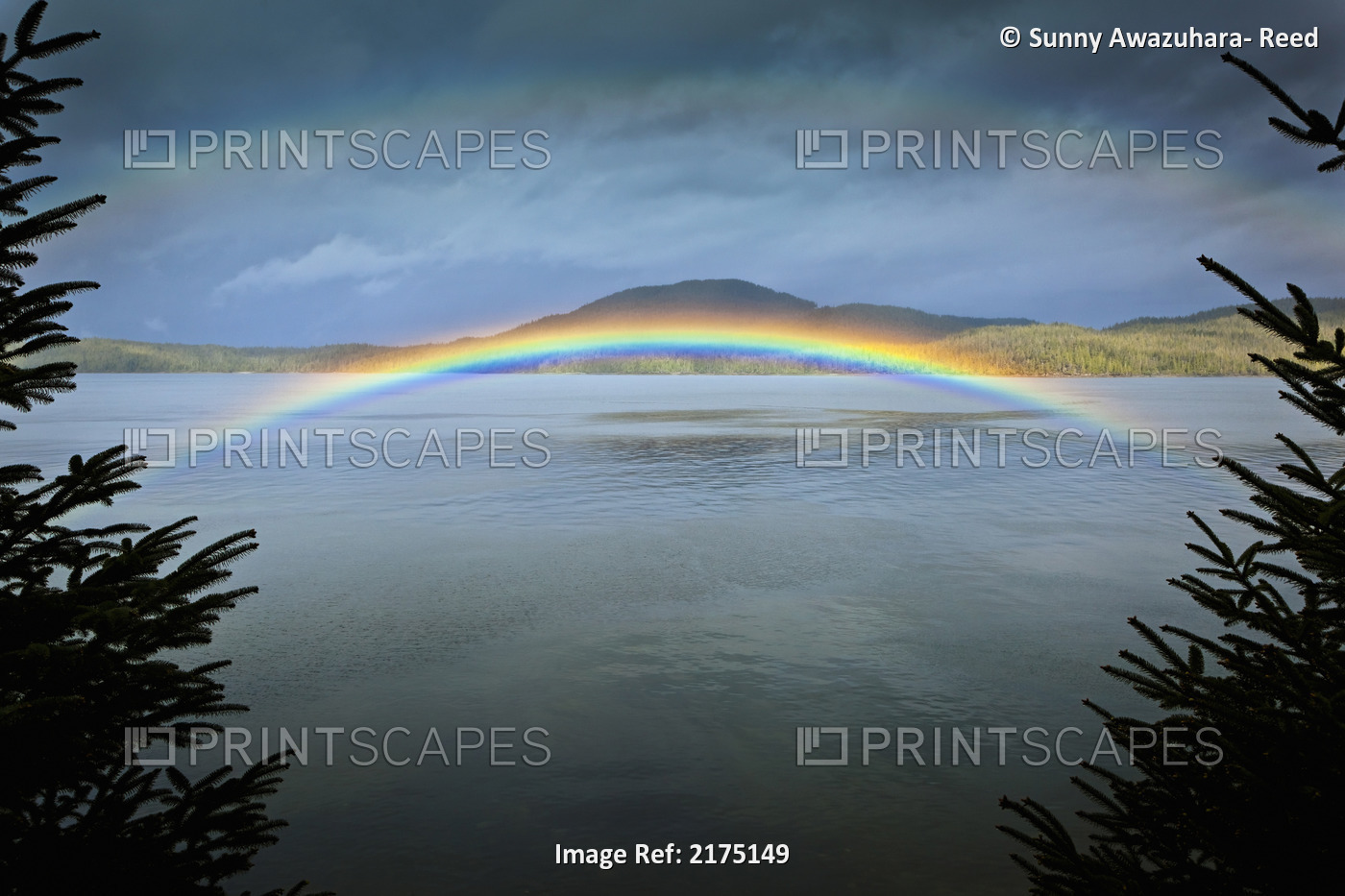 Low Arching Rainbow Over The Waters Of Clover Passage, Ketchikan, Southeast ...