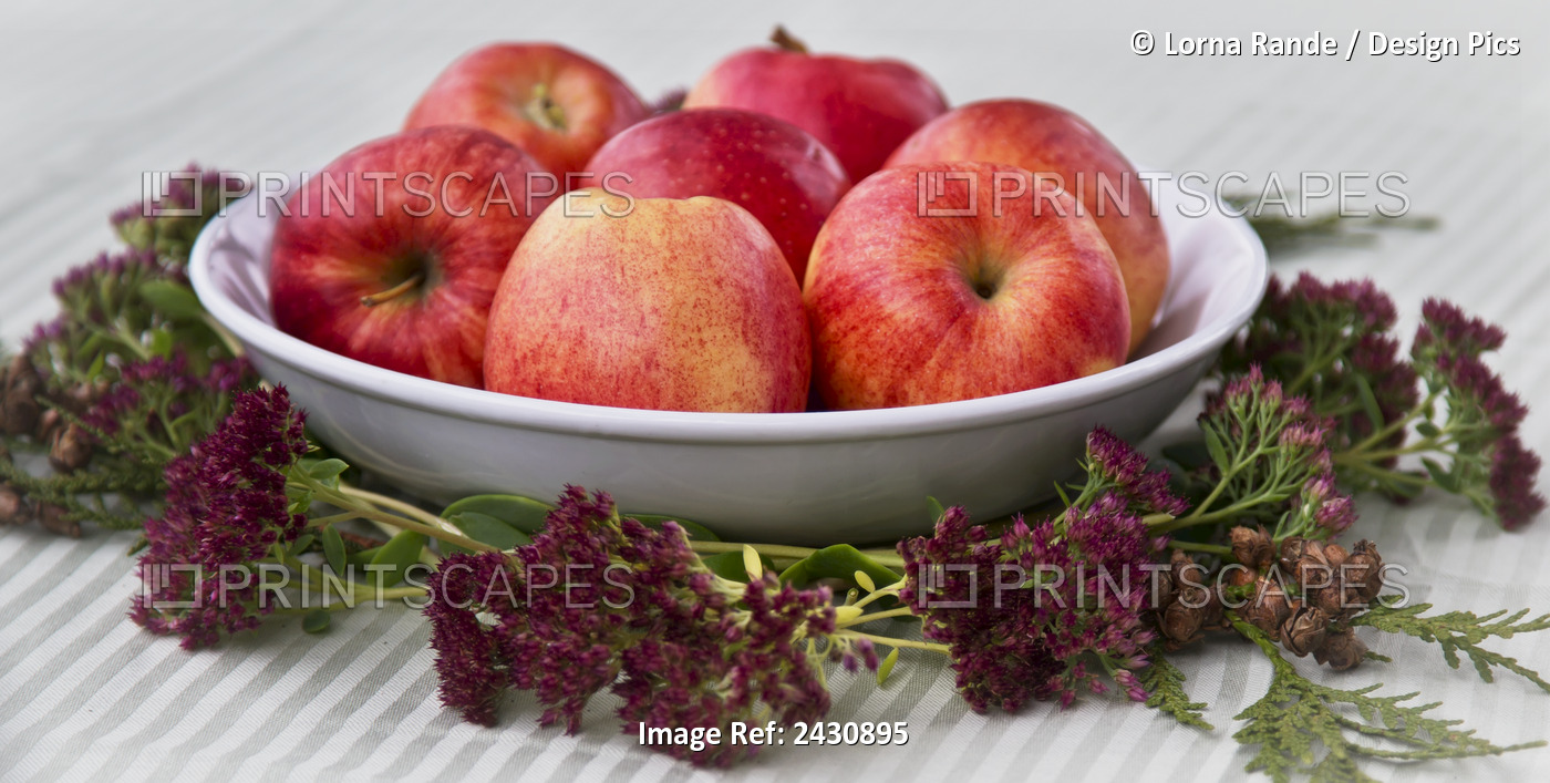 A Bowl Of Apples And Decorative Flowers On A Table; Abbotsford, British ...