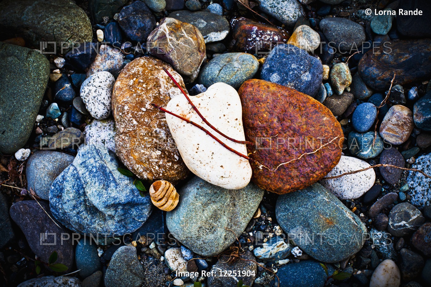 Stones Along The River's Edge; Chilliwack, British Columbia, Canada