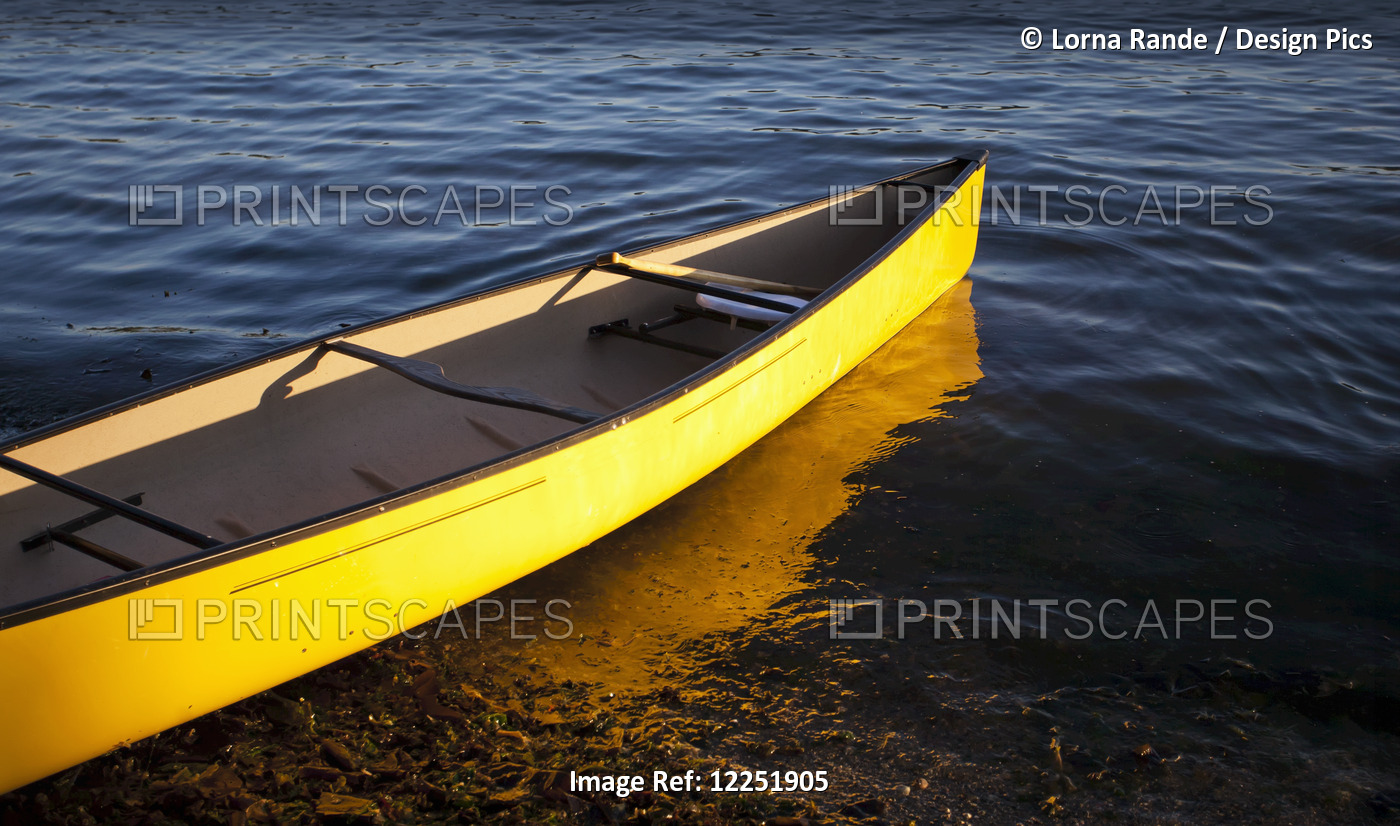 Yellow Canoe In The Shallow Water At The Water's Edge; Vancouver, British ...
