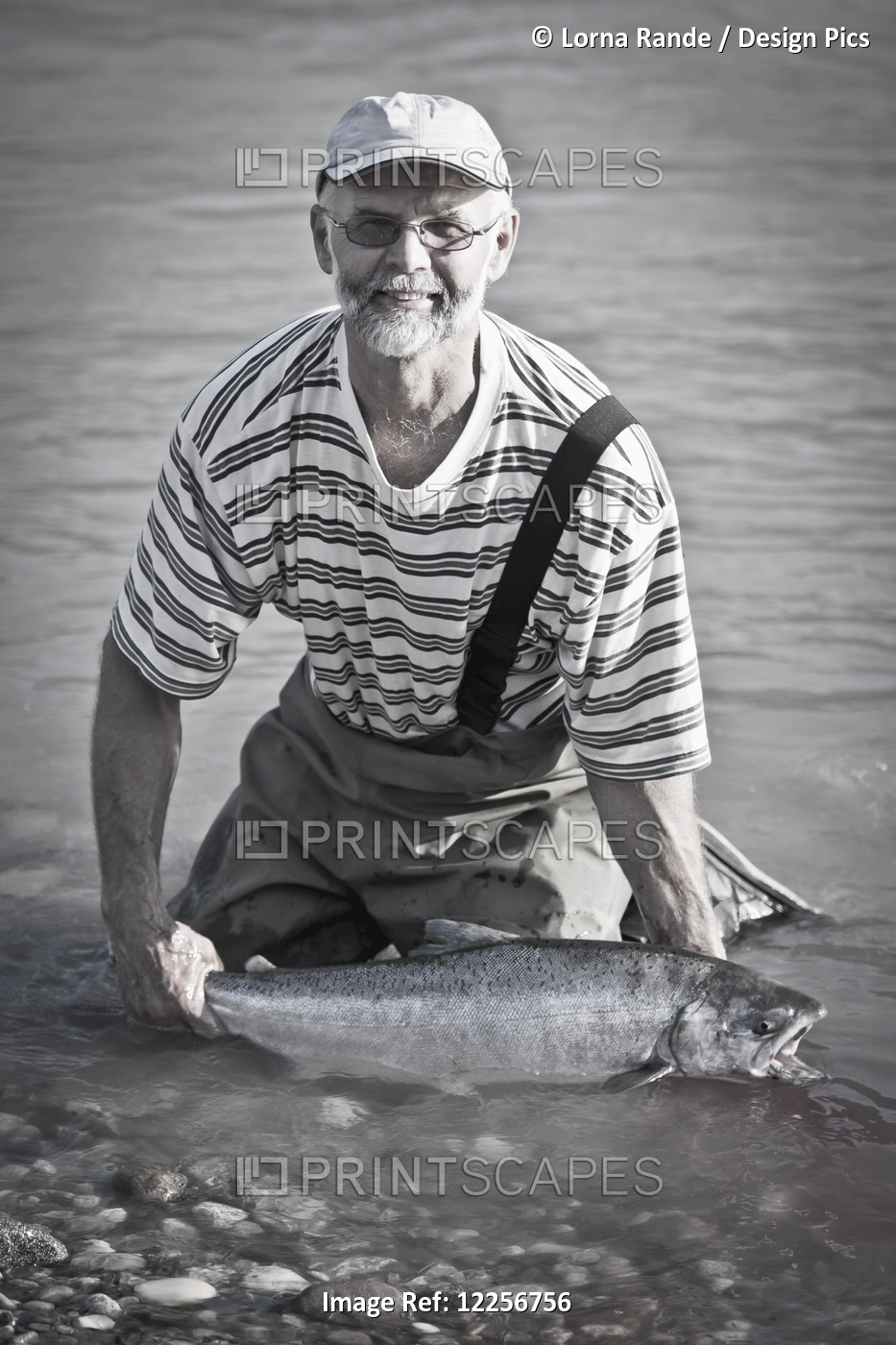 A Man Kneeling In The River With A Fresh Caught Fish; Hope, British Columbia, ...