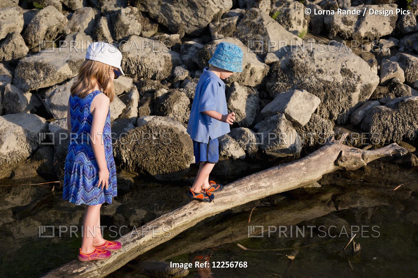 Children Walking On A Log Over The Water; Chilliwack, British Columbia, Canada