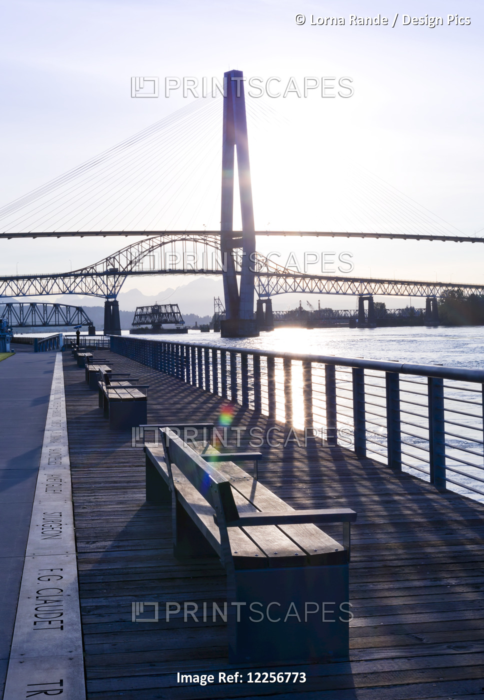 Benches Along The Waterfront With A Bridge Over The Fraser River At Sunrise; ...