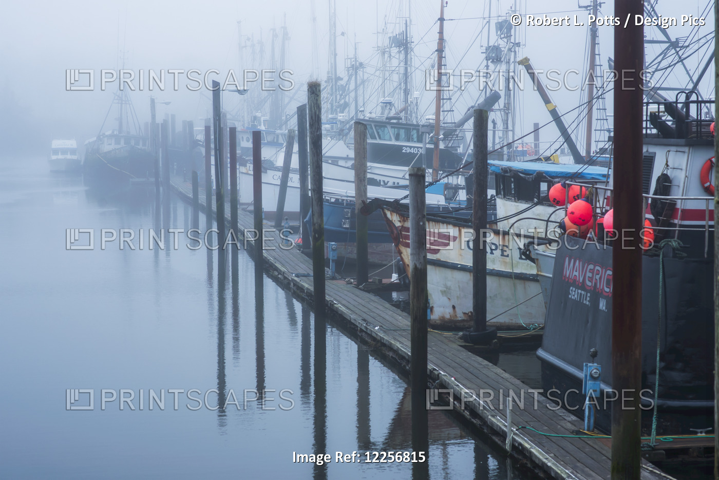 Fishing Boats Moored At The Dock; Warrenton, Oregon, United States Of America