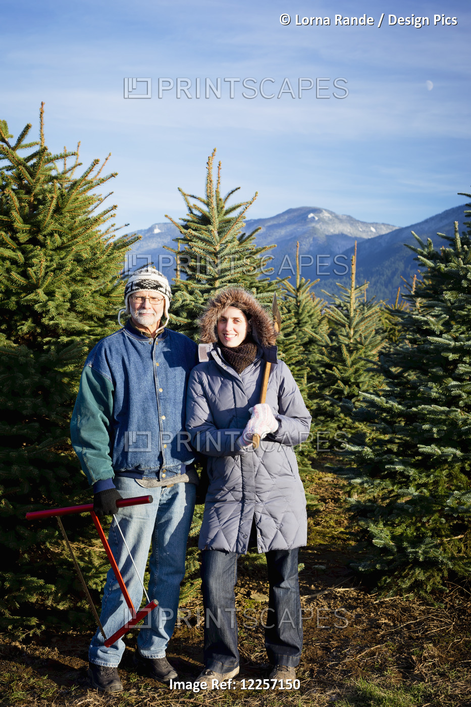 A Couple Searching For A Christmas Tree; Chilliwack, British Columbia, Canada