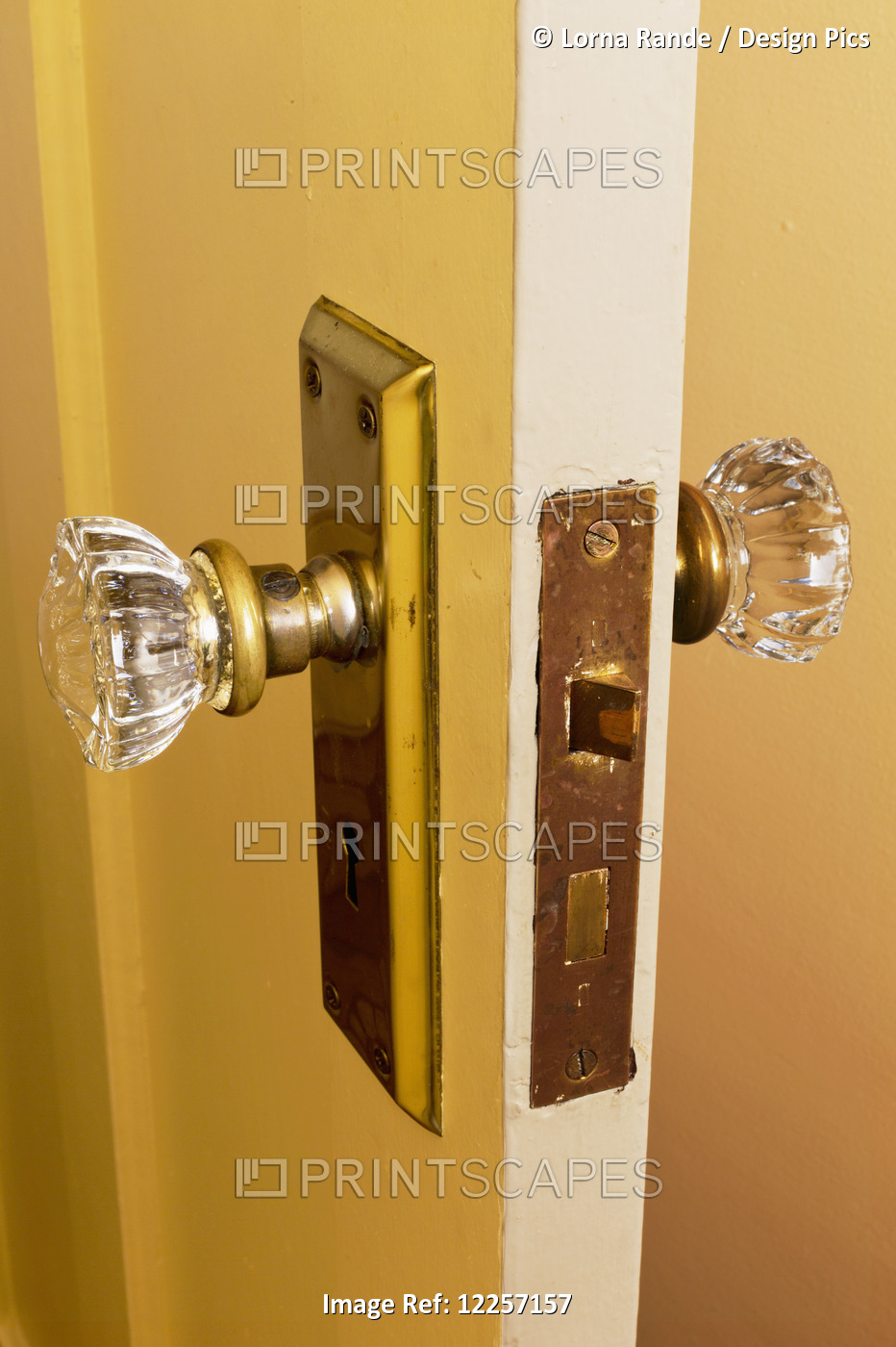 Glass Doorknobs On A Door In A Heritage House; Vancouver, British Columbia, ...