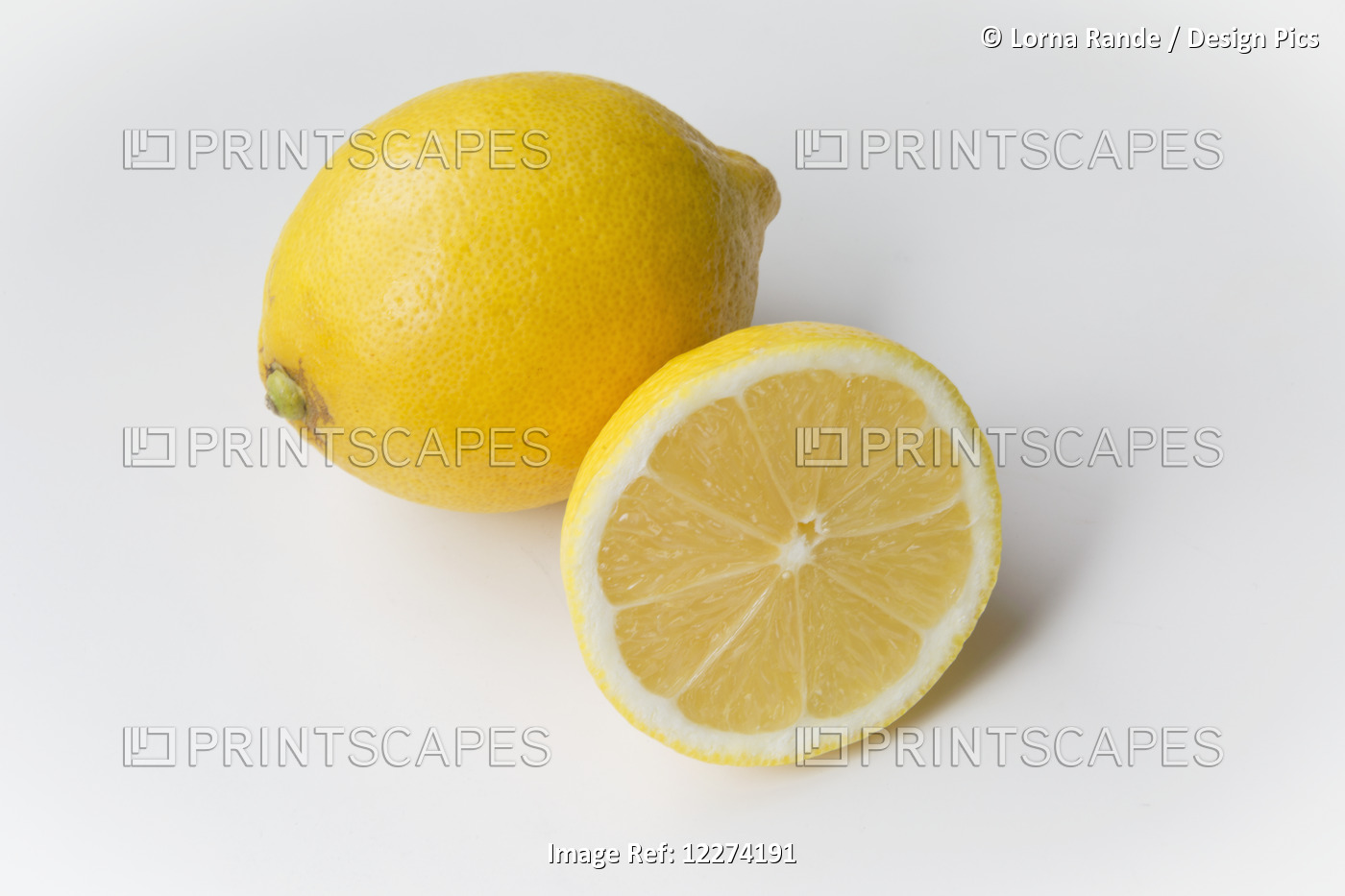 Fresh Lemon On A White Background; Chilliwack, British Columbia, Canada