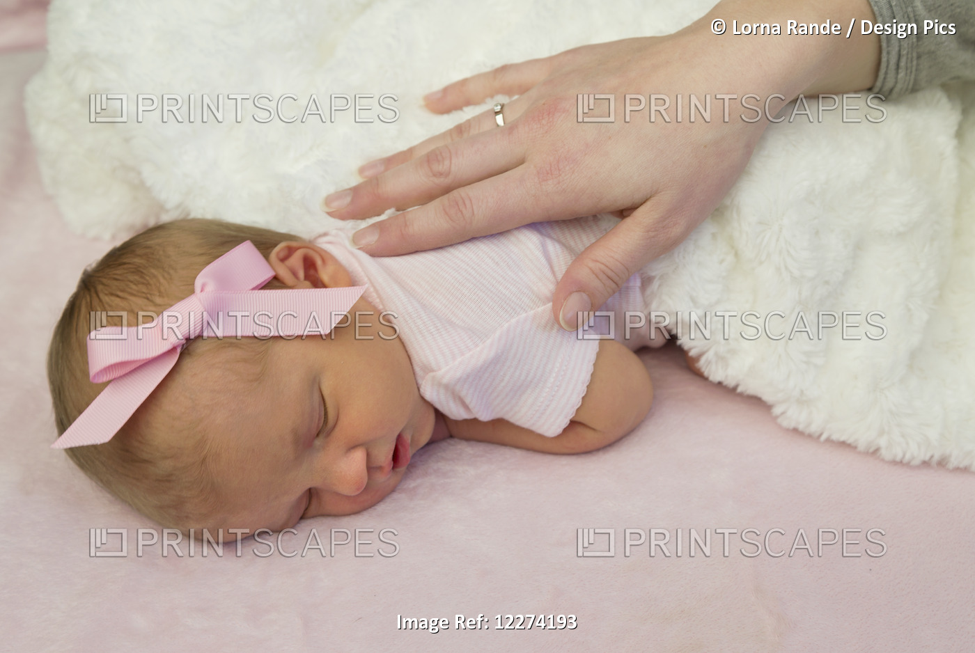 A Mother's Hand Tenderly Placed On Her Sleeping Newborn Baby Girl; Chilliwack, ...