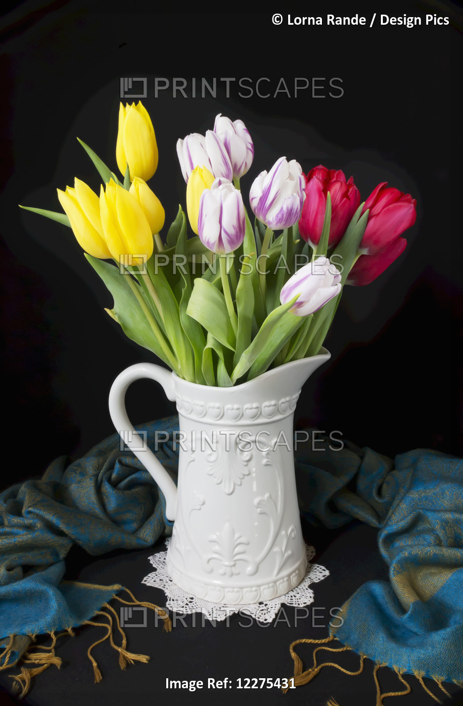 Spring Coloured Tulips In A White Ceramic Vase With Handle; British Columbia, ...
