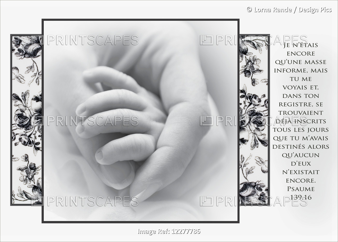 Artwork With French Scripture And An Image Of A Mother Holding Her Newborn's ...
