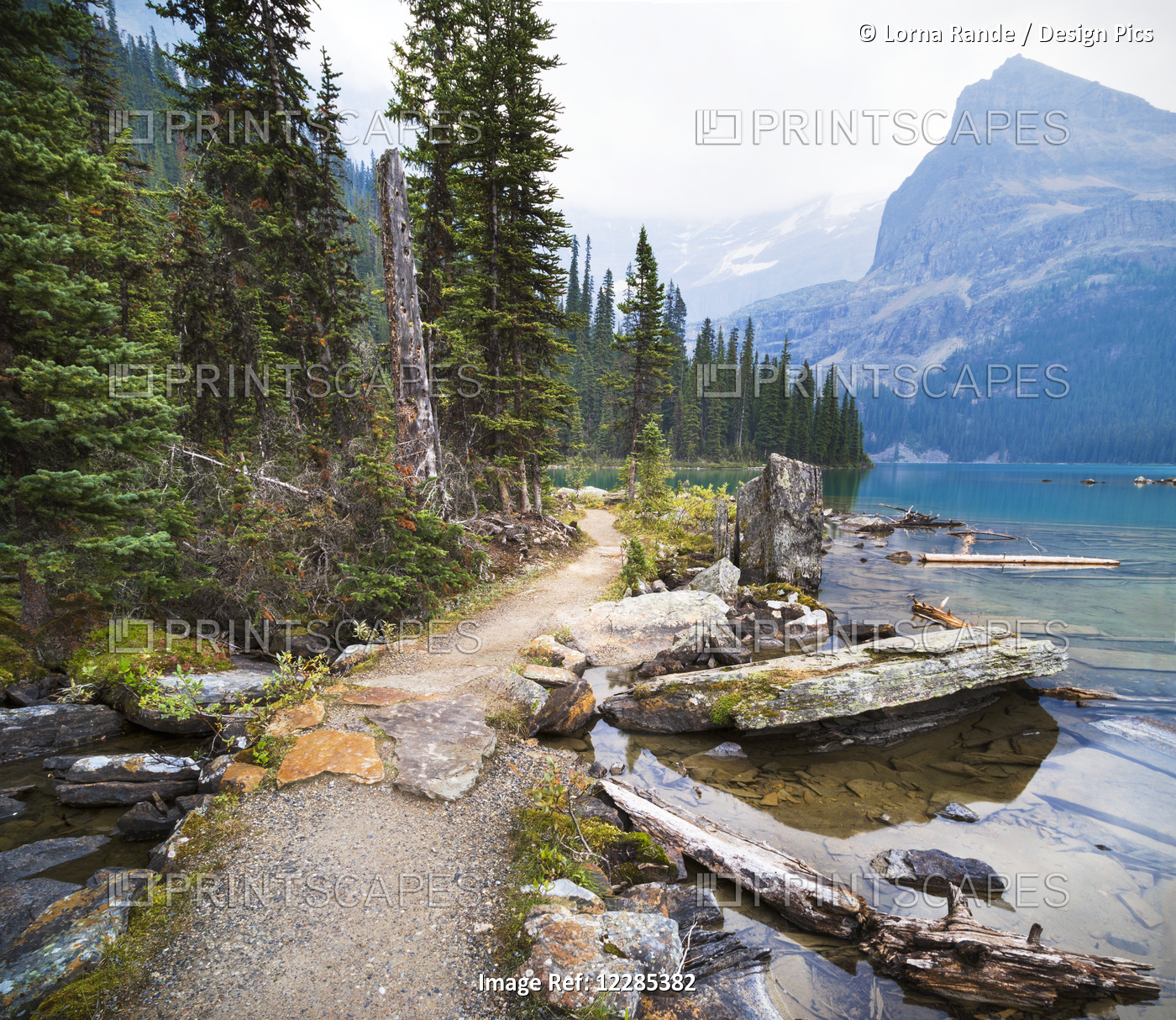 Trail Around Lake O'hara, Yoho National Park; British Columbia, Canada