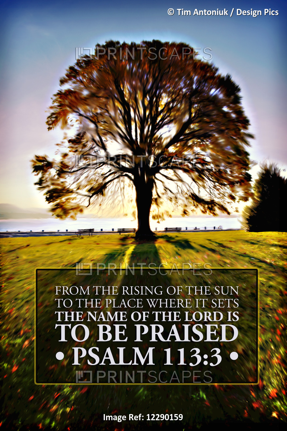 Image Of A Backlit Tree In Autumn Against A Blue Sky With Scripture From Psalm ...