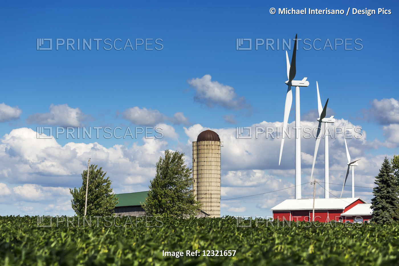 Large Metal Windmills In A Farm Yard With Red Barn And Silo, Soy Bean Field In ...