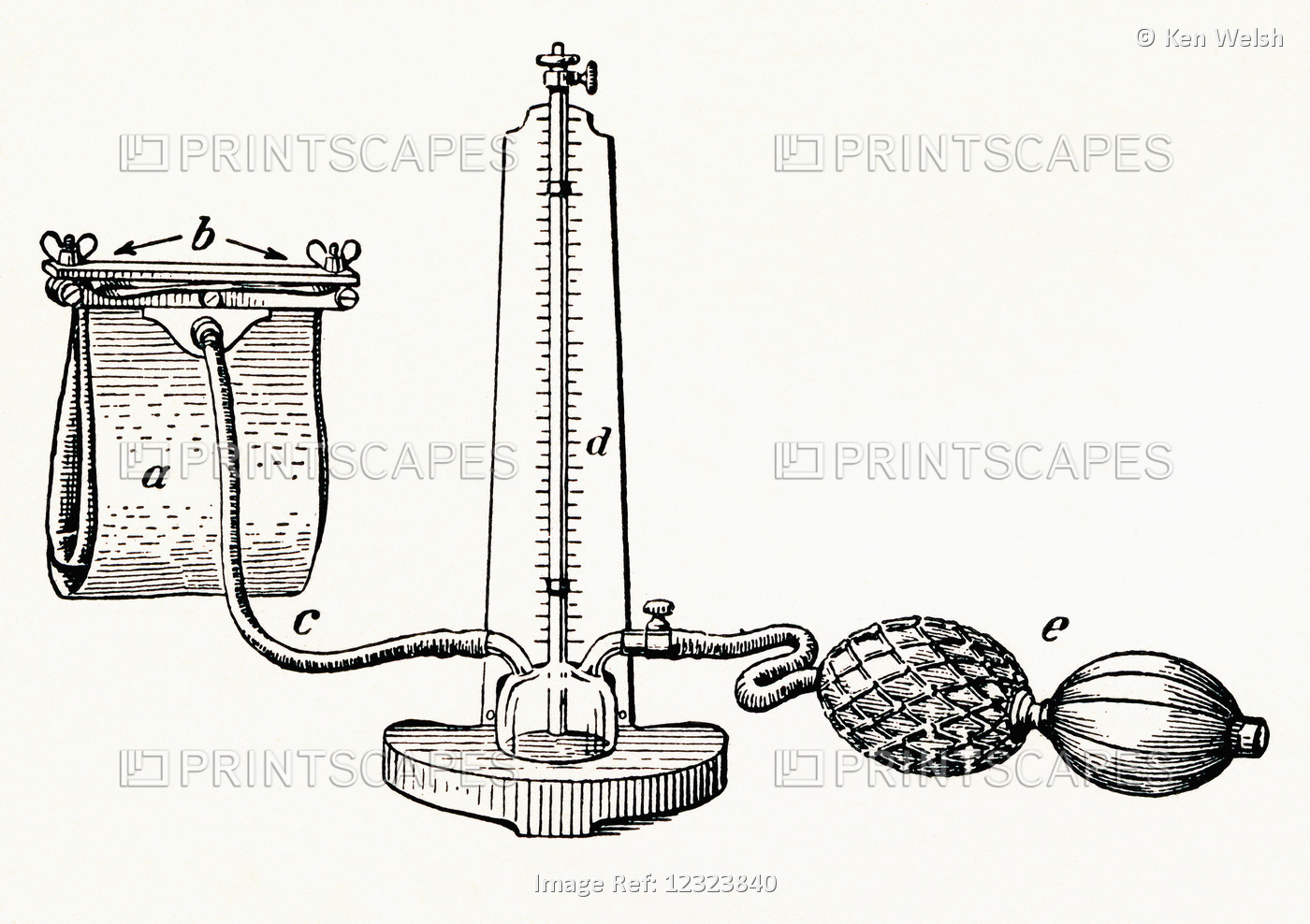 An Early 20th Century Sphygmomanometer Aka  Blood Pressure Meter, Blood ...