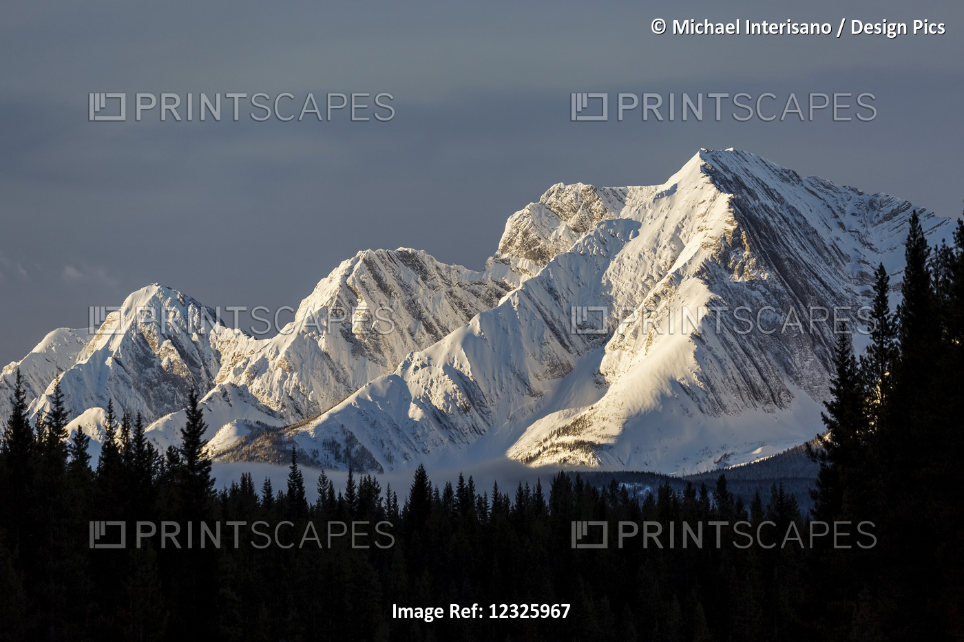 Snow Covered Mountains With Early Morning Light, Silhouetted Forest In The ...