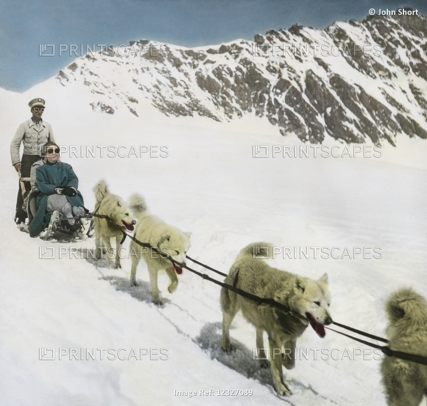 Jungfraujoch Polar Hounds Pulling Sled Circa 1900 From Magic Lantern Slide