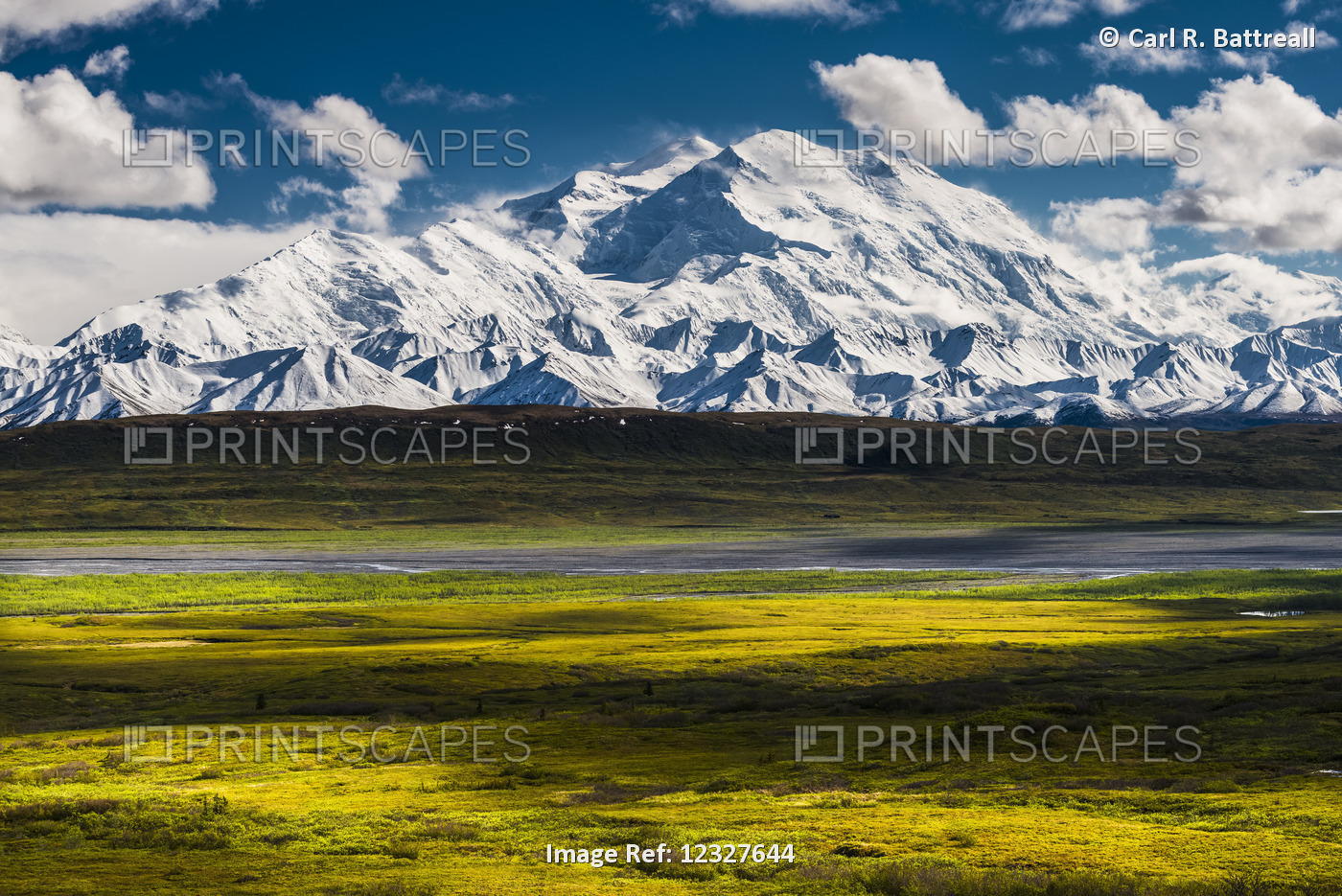 Scenic Summer View Of Denali And Vibrant Green Tundra In The Foreground, ...
