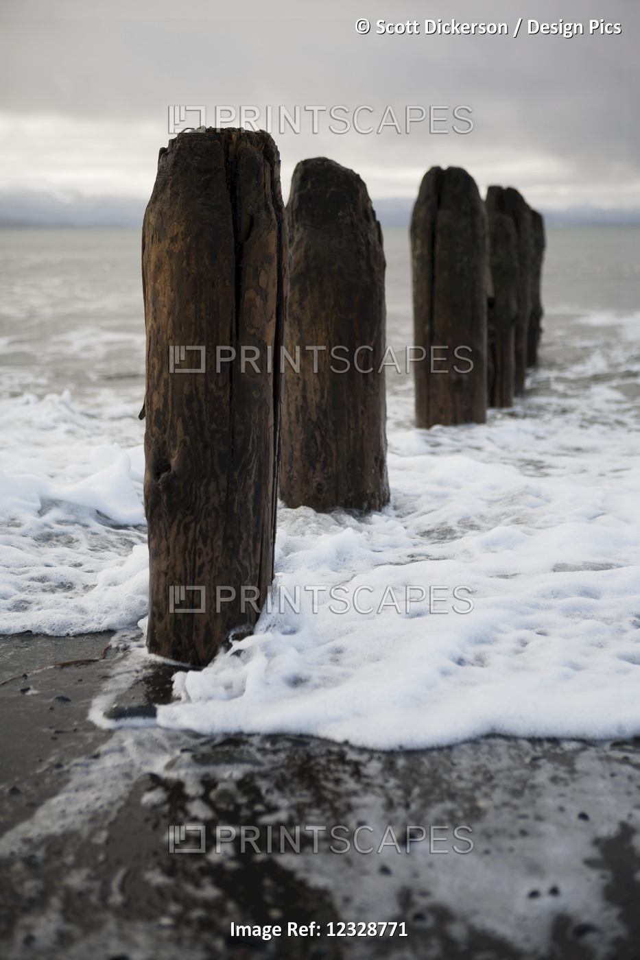 Surf Rising Against Wooden Tide Posts In Kachemak Bay; Alaska, United States Of ...