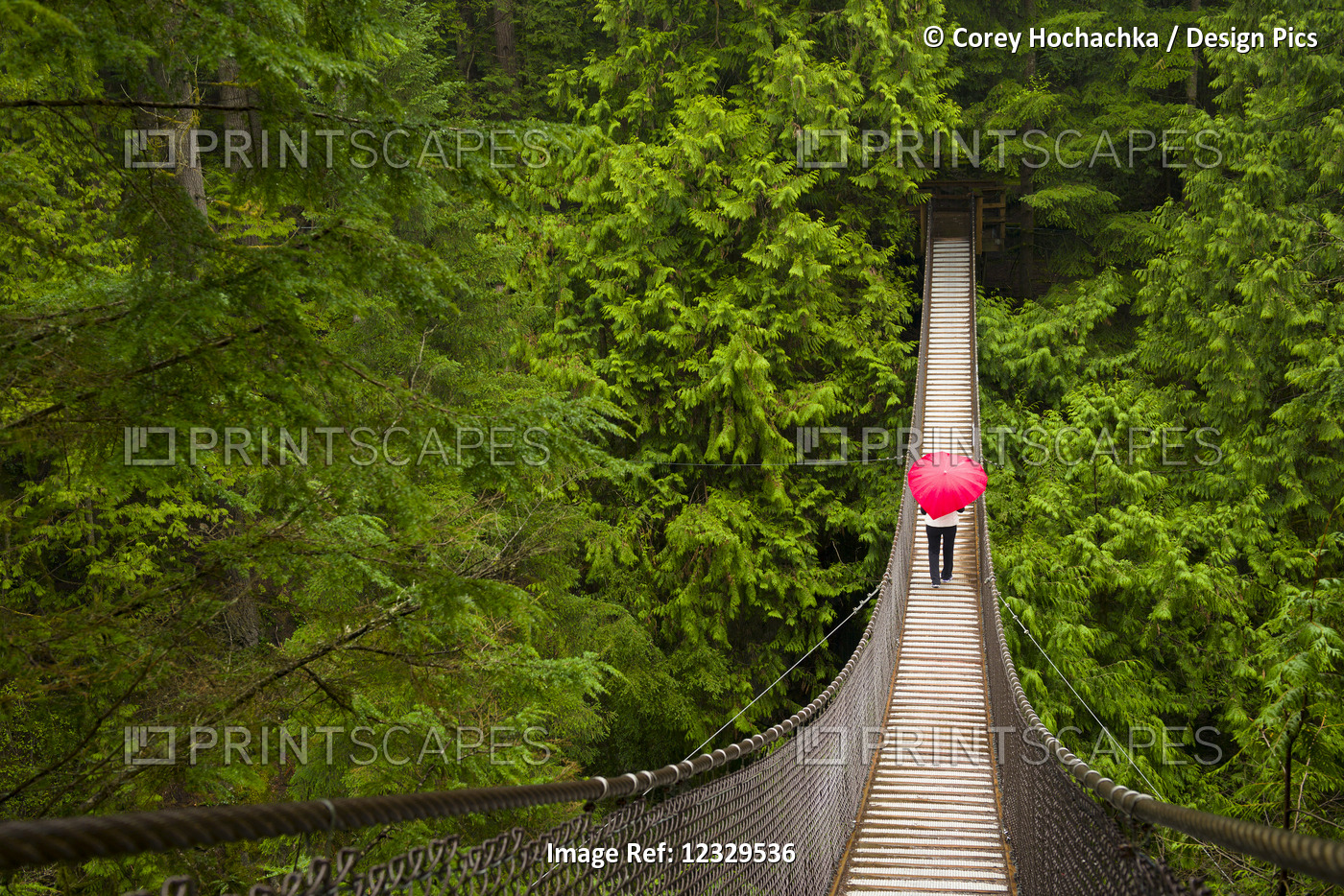 Woman With A Red Heart-Shaped Umbrella Crossing The Lynn Canyon Suspension ...