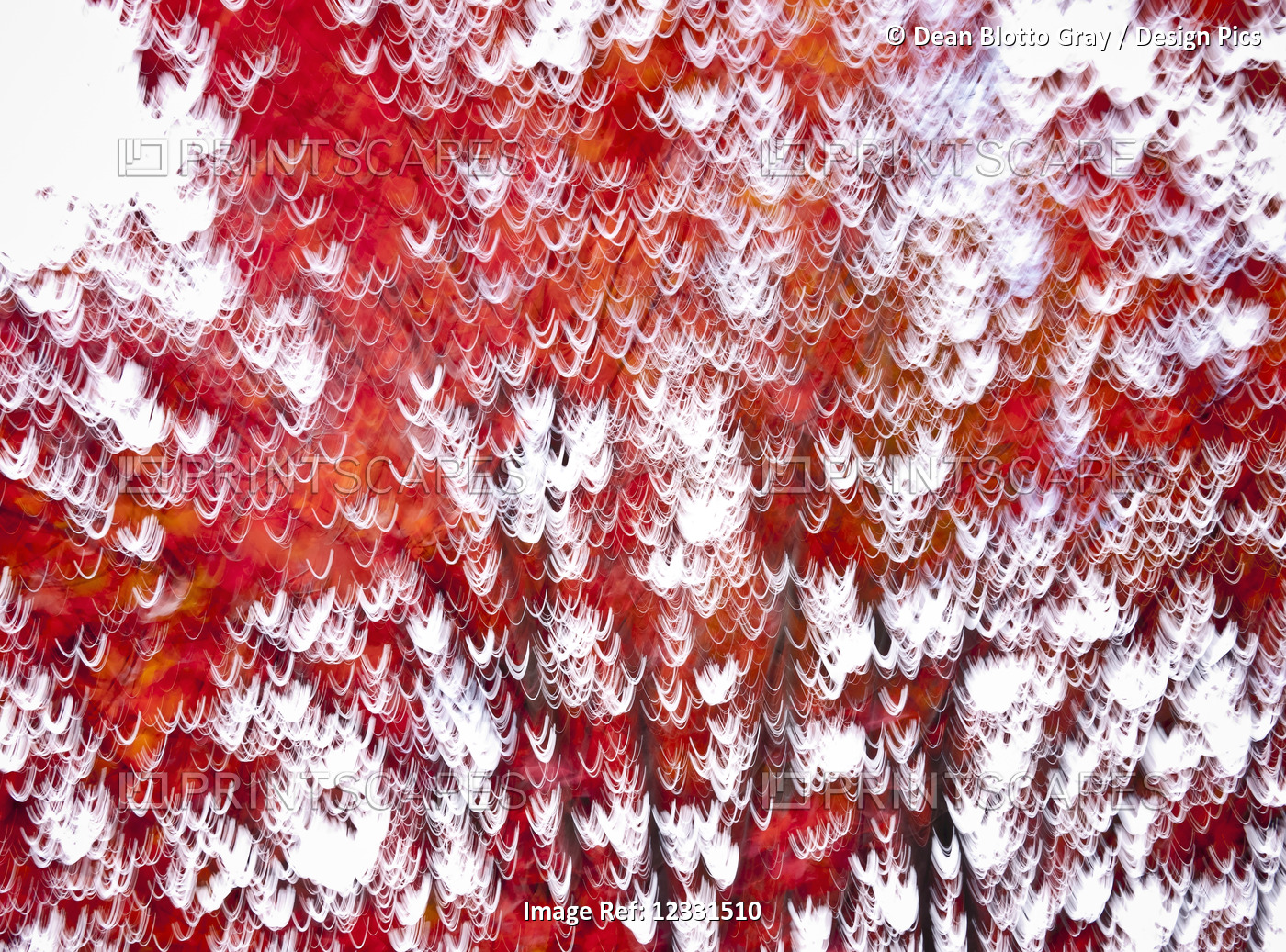 Abstract in red and white; Burlington, Vermont, United States of America