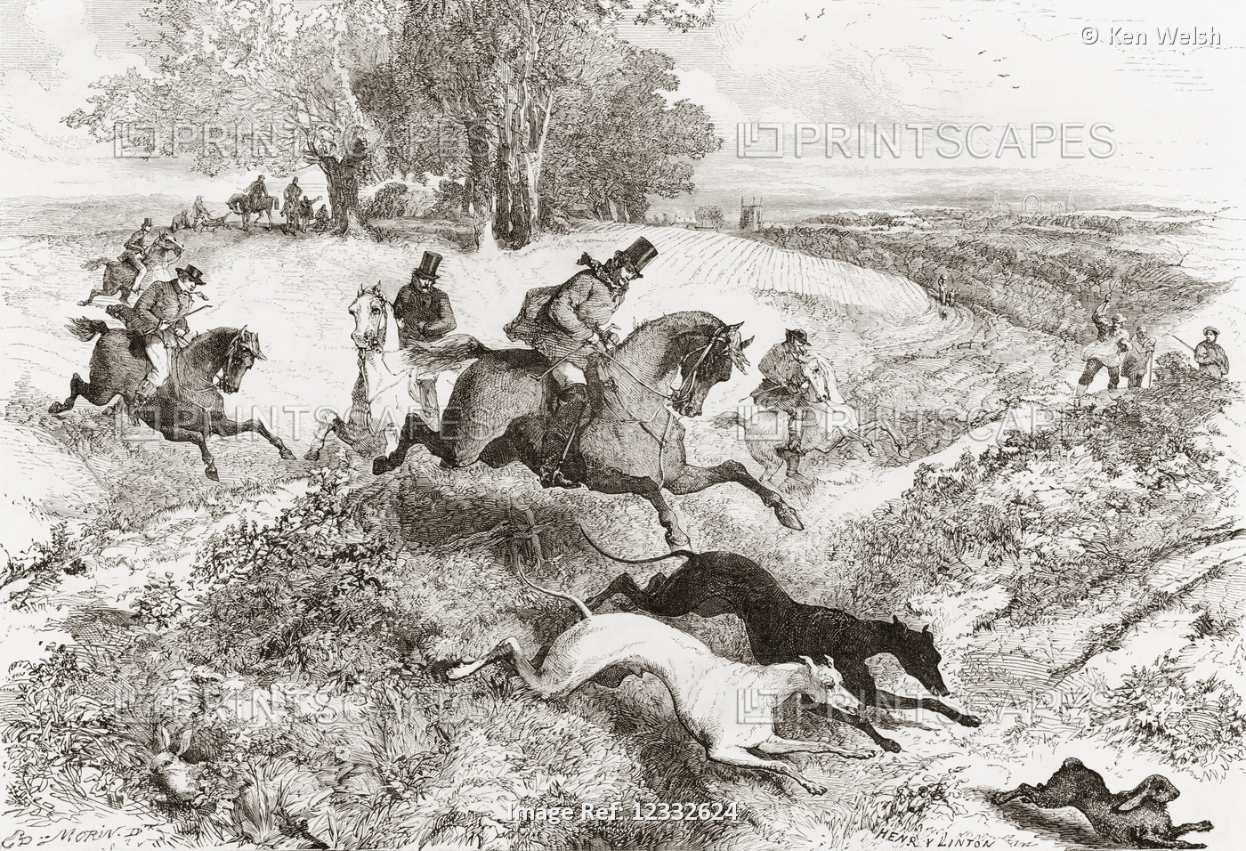 Hare coursing, the pursuit of hares with greyhounds, in England in the 19th ...