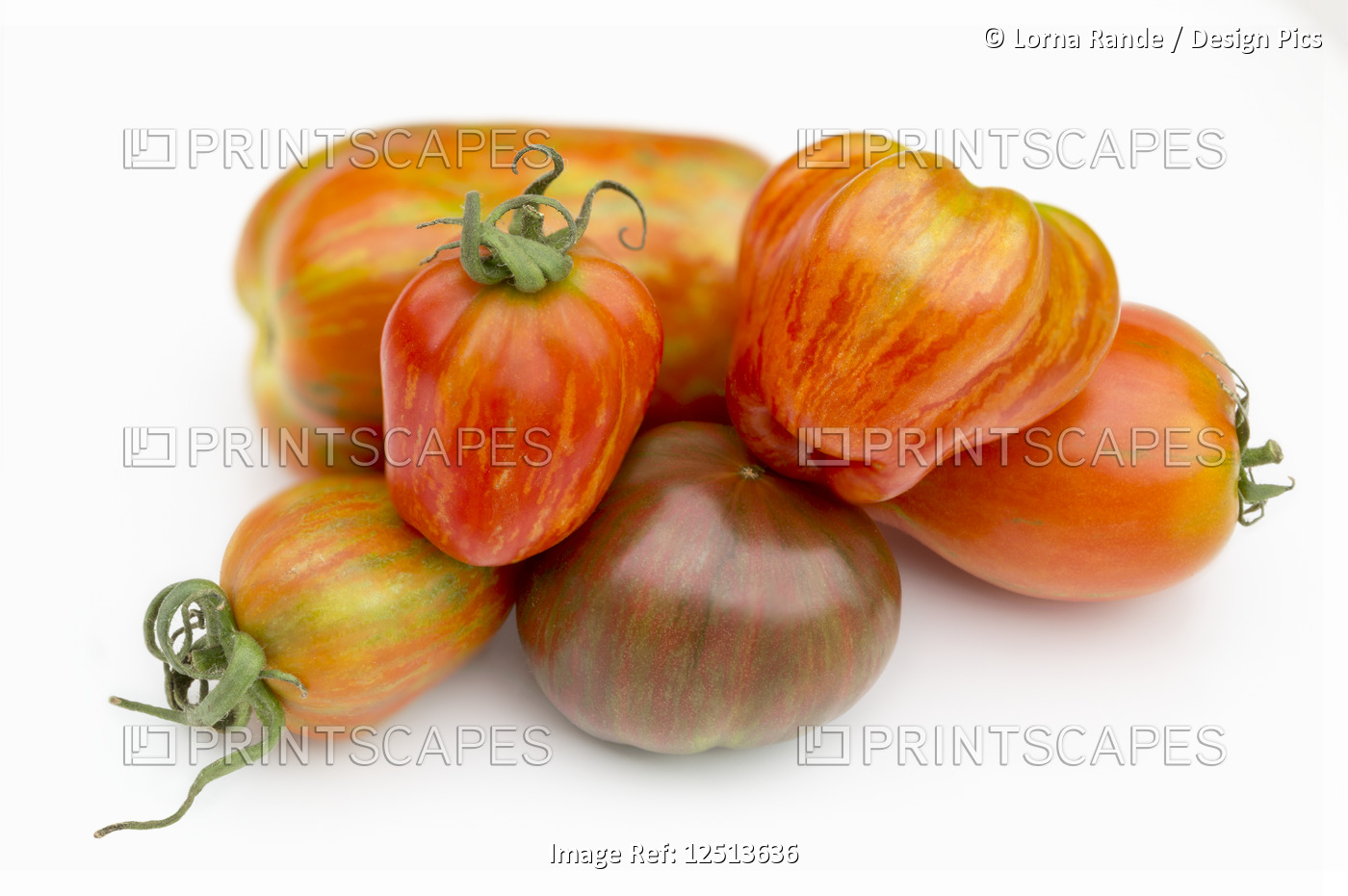 Collection of heirloom tomatoes on a white background
