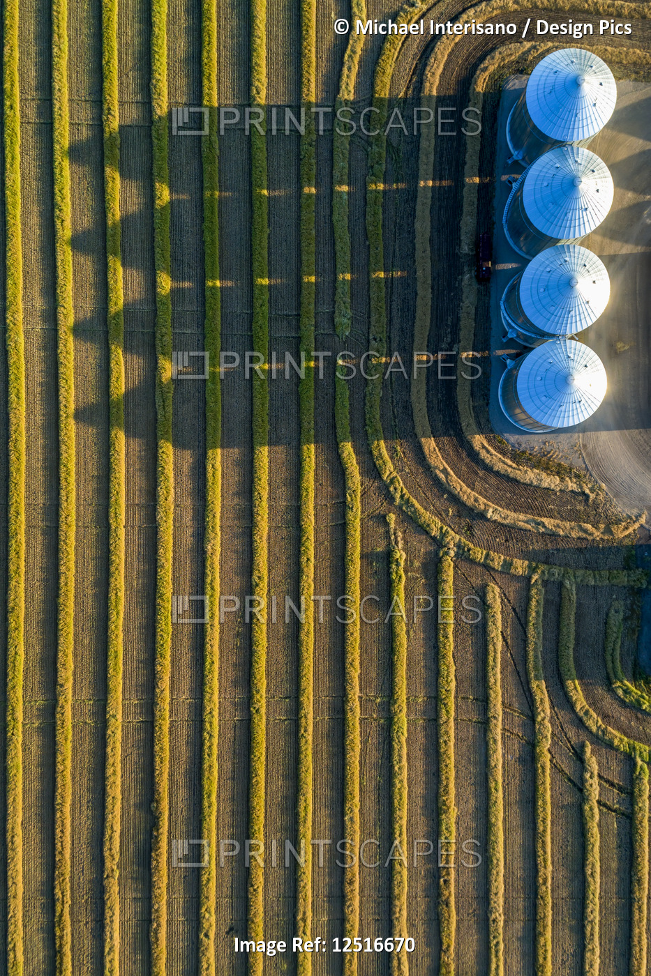 View from directly above of four large metal grain bins and canola harvest ...