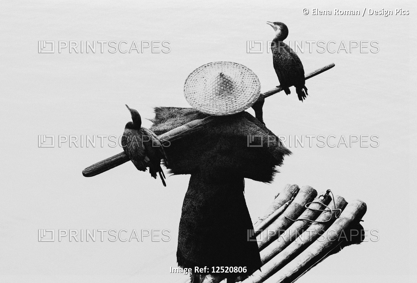 A fisherman stands on a wooden raft on a river with two birds perched on a ...