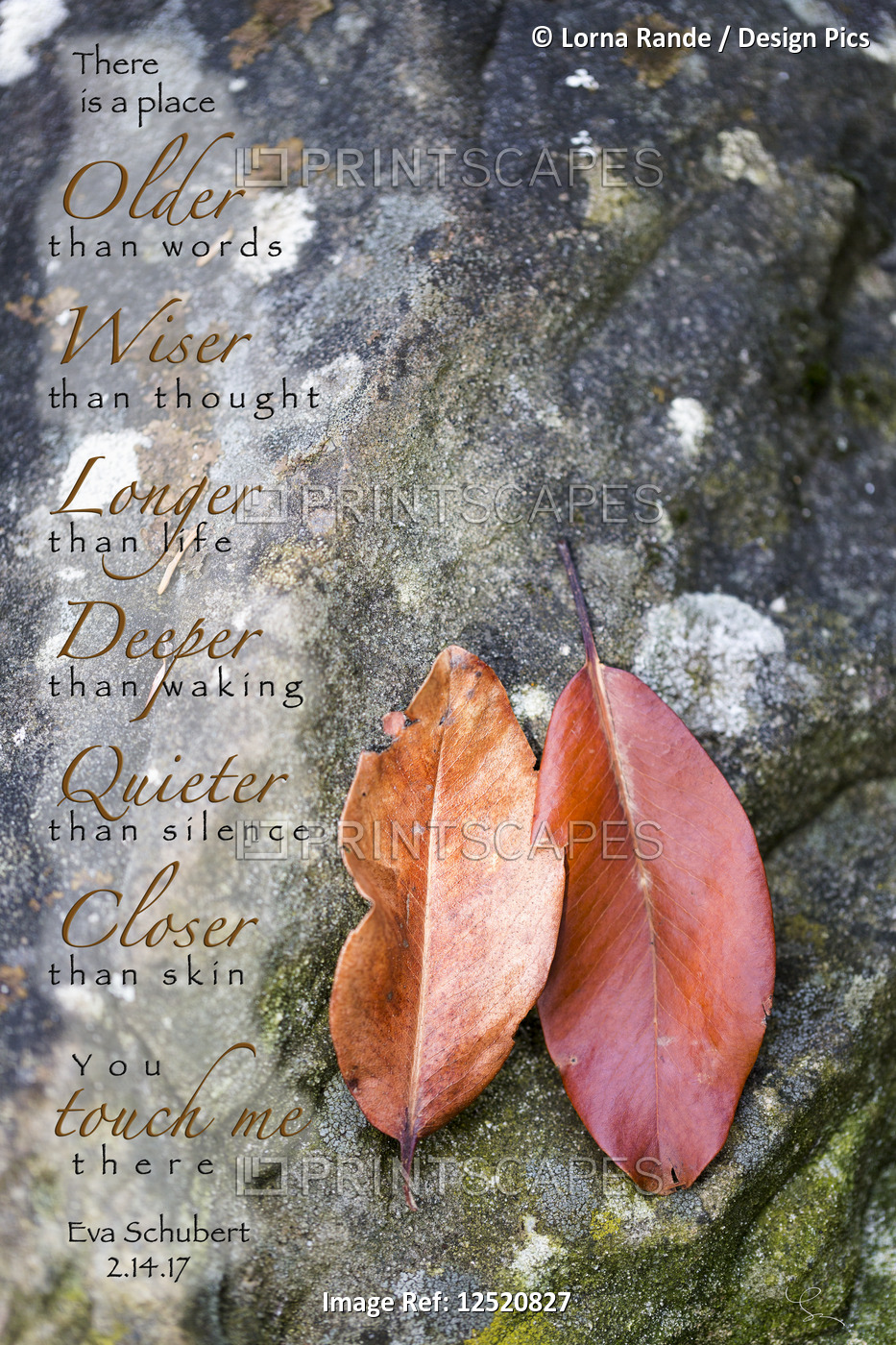 Decorative artwork with a sentimental poem written over rock with autumn ...