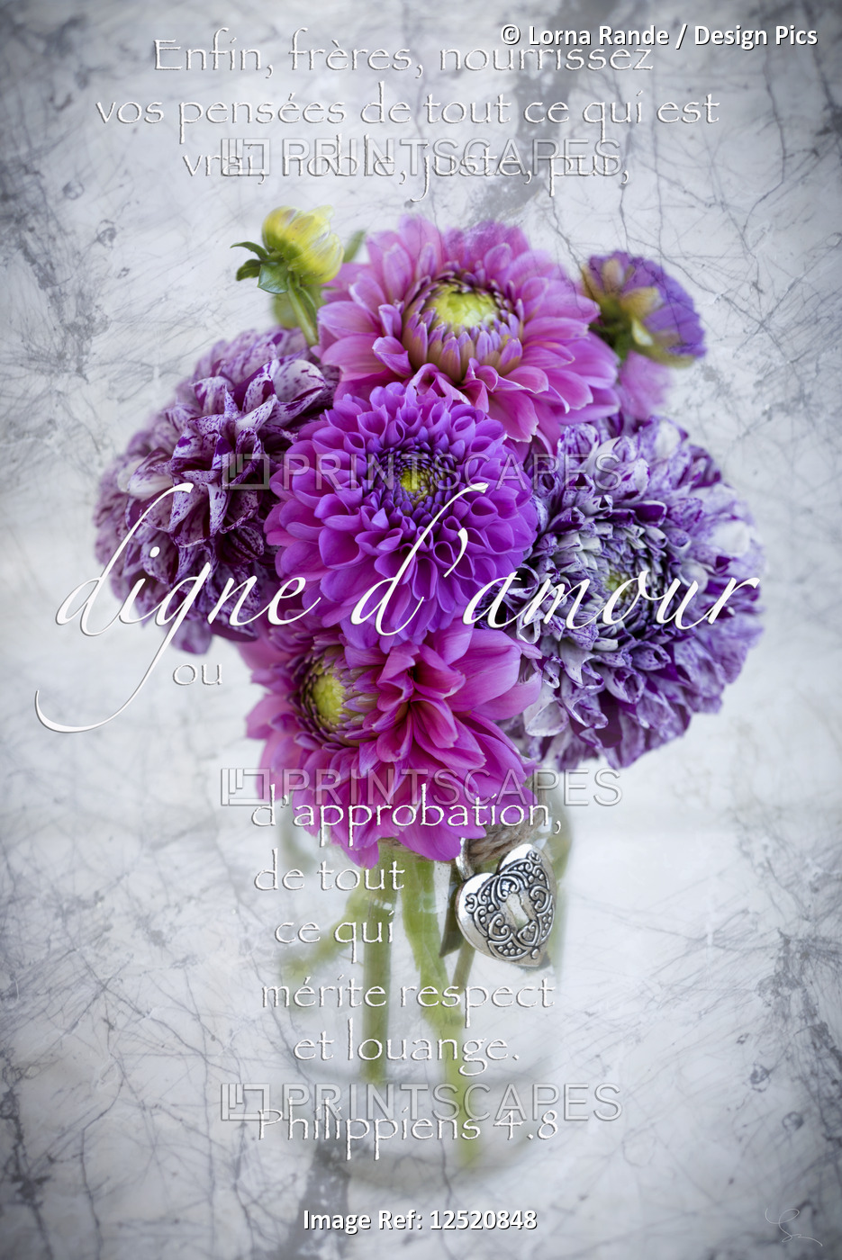 Philippians 4:8 'whatever is lovely' in French with a bouquet of dahlias