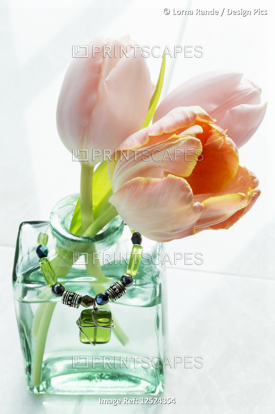 Cut tulips in a decorative glass vase with a pendant