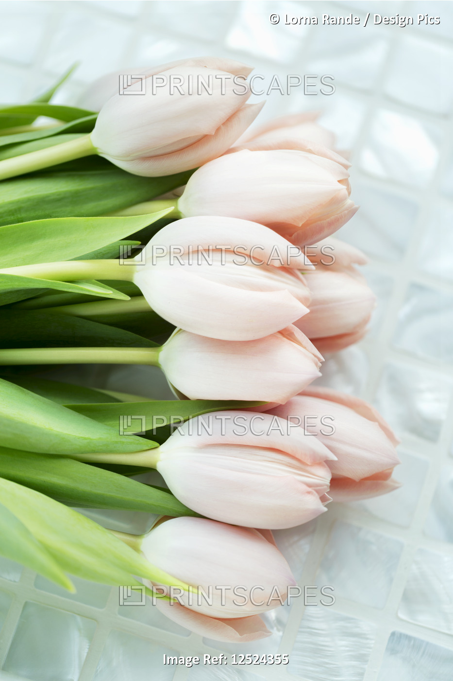 Bouquet of soft pink tulips laying on a tile counter