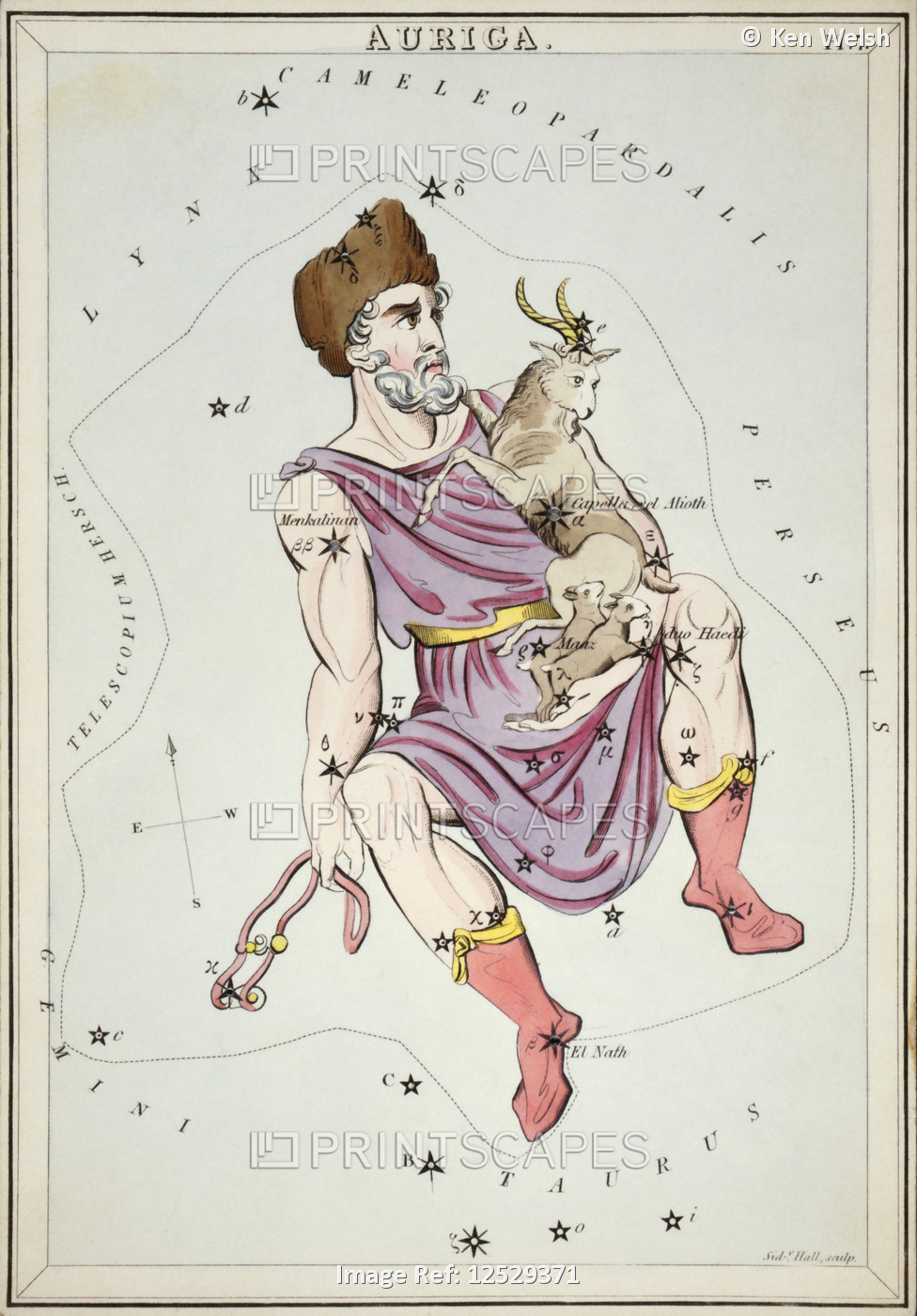 Auriga. Card Number 7 from Urania's Mirror, or A View of the Heavens, one of a ...