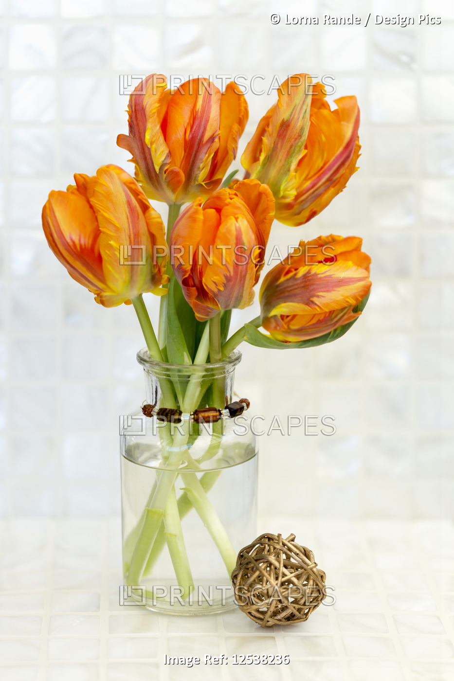 Orange tulips in a decorative vase against a white background