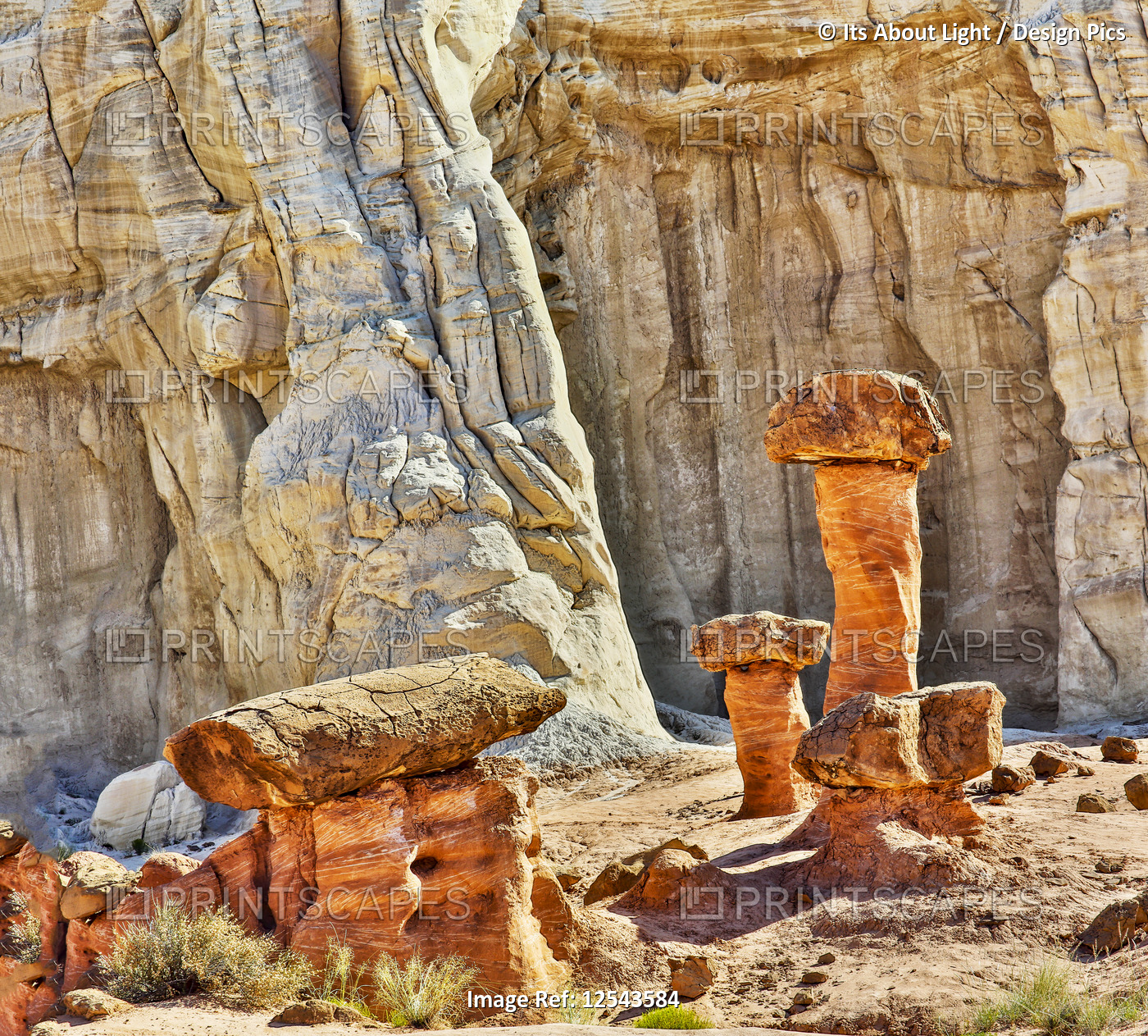 Grand Staircase-Escalante National Monument; Utah, United States of America
