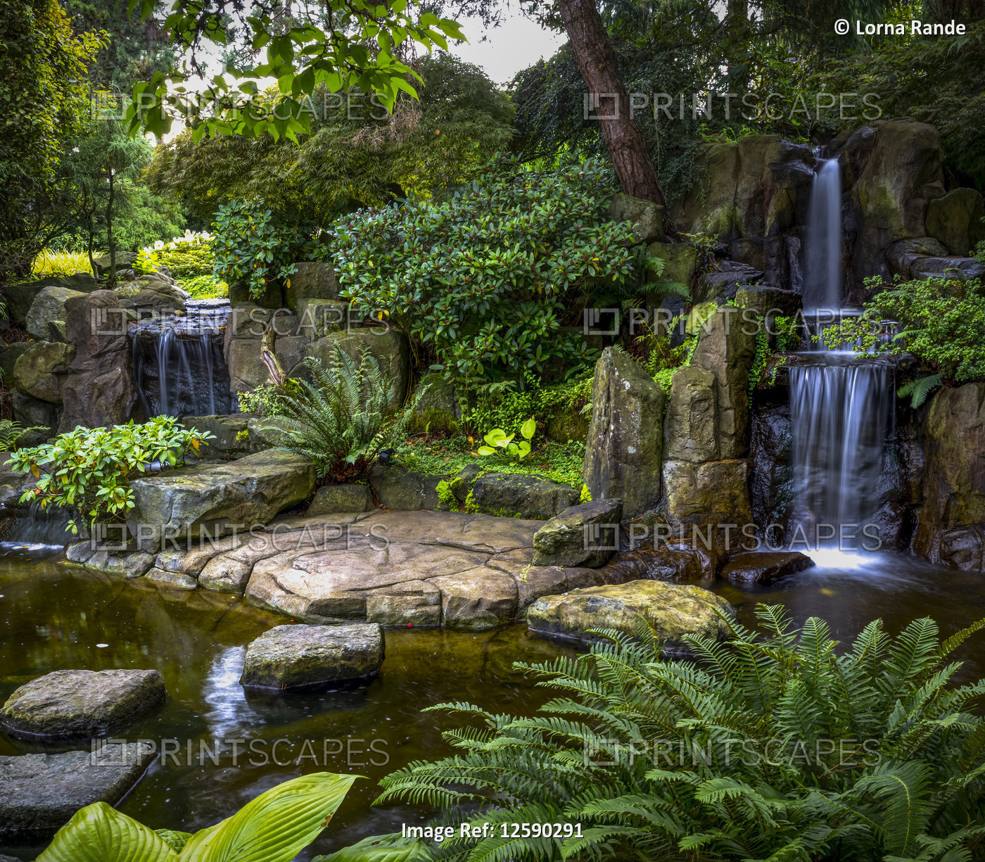 Waterfalls and lush foliage in a landscaped residential yard; Surrey, British ...