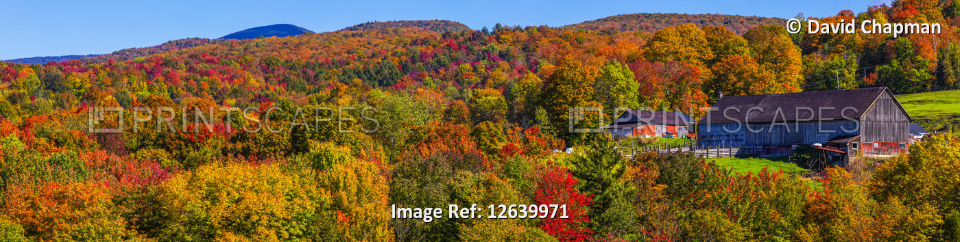 Vibrant autumn coloured foliage in the forests on the mountains and a barn; ...
