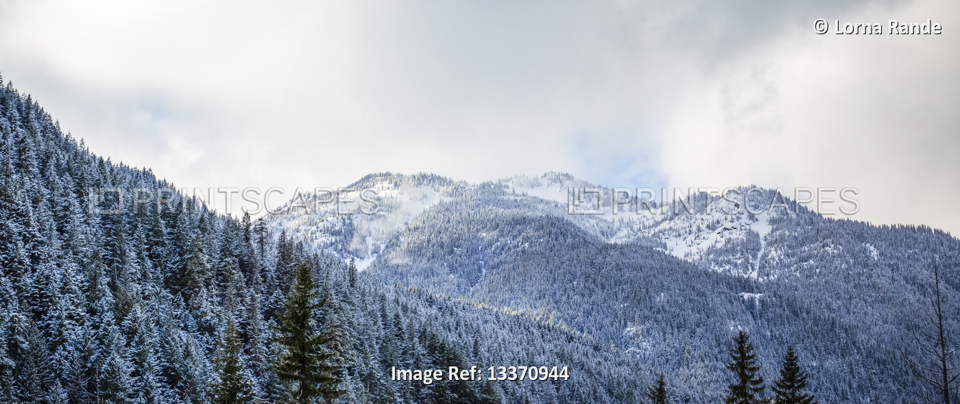 Snowy coniferous forest in the Rocky Mountains, driving the Hope-Princeton ...