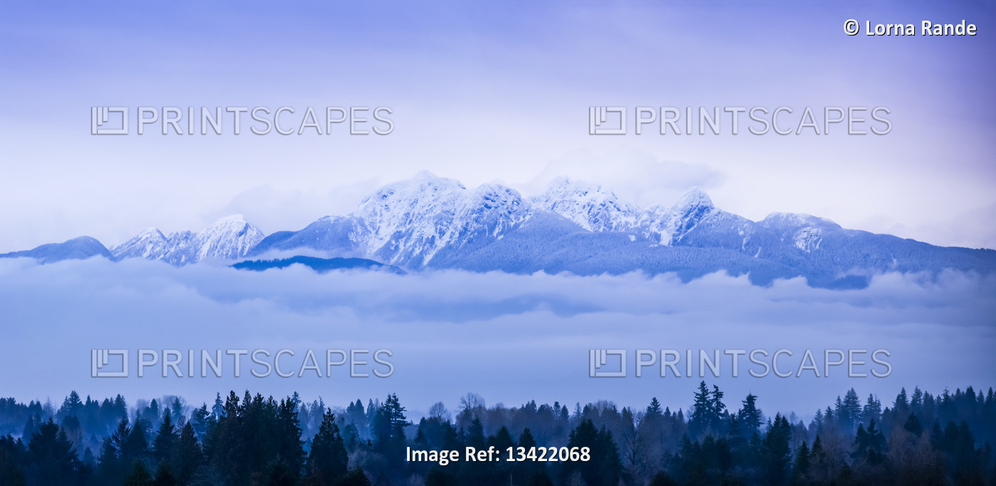 View of snow-covered mountains and low cloud over a forest, viewed from Surrey, ...