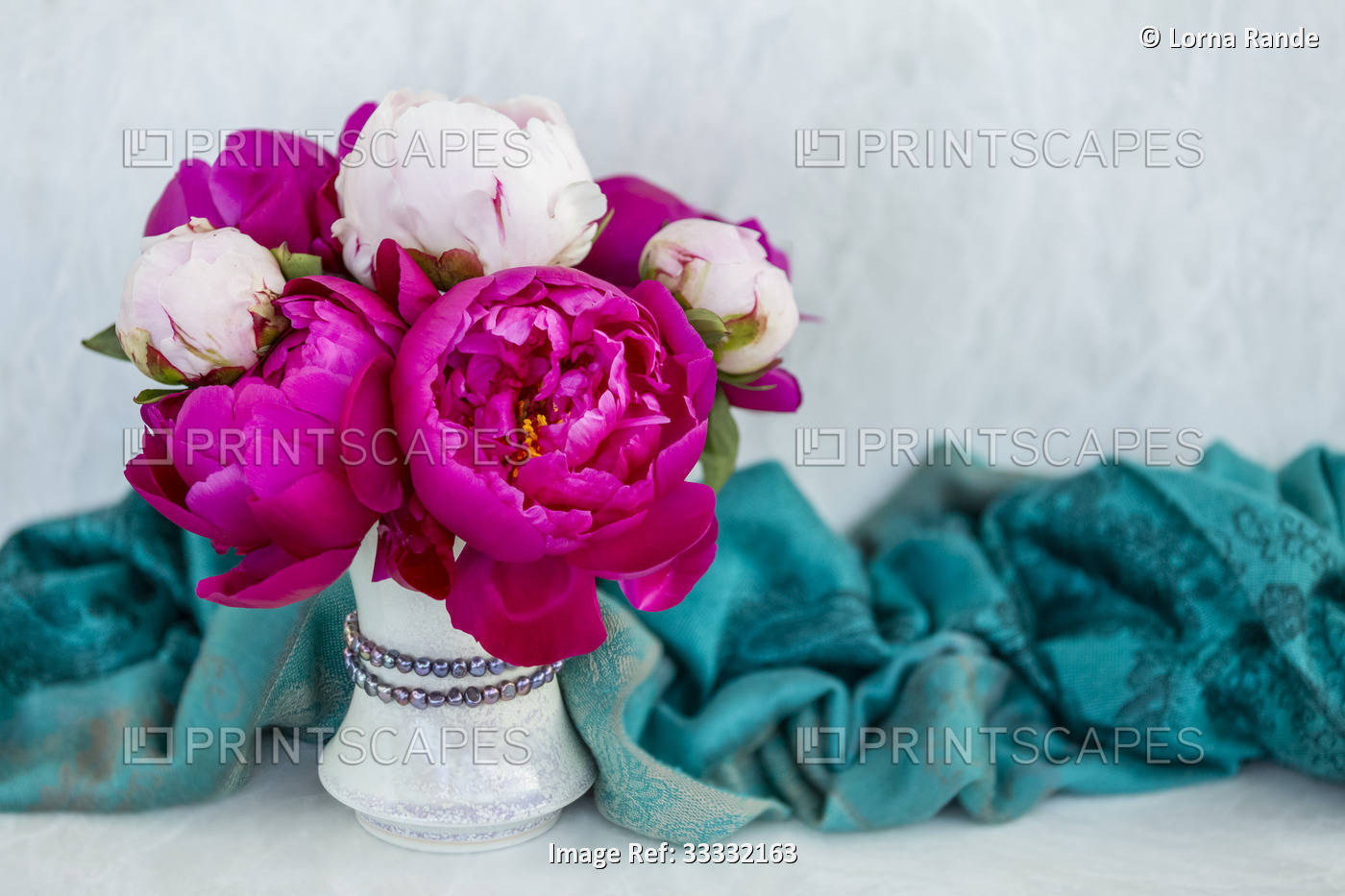 Bouquet of vibrant pink peonies and white peonies (Paeonia) in a white vase ...