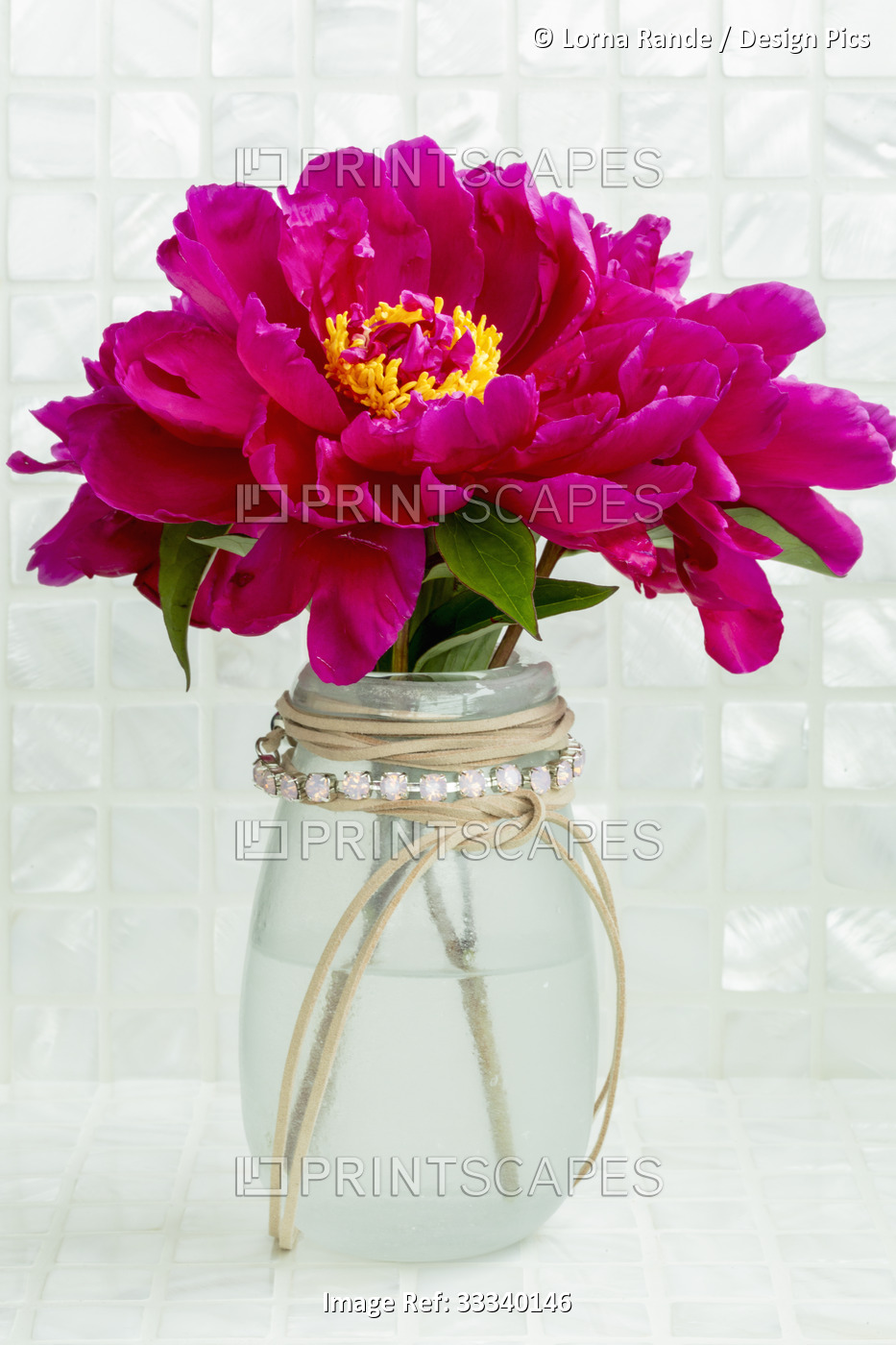 Bright pink peony cut and displayed in a glass jar with beads and leather cord ...