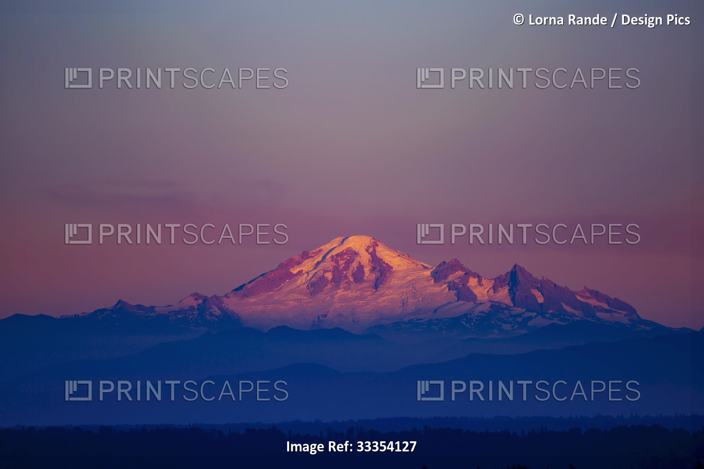 Snow-covered Mount Baker in a glowing pink sunset sky; Washington, United ...