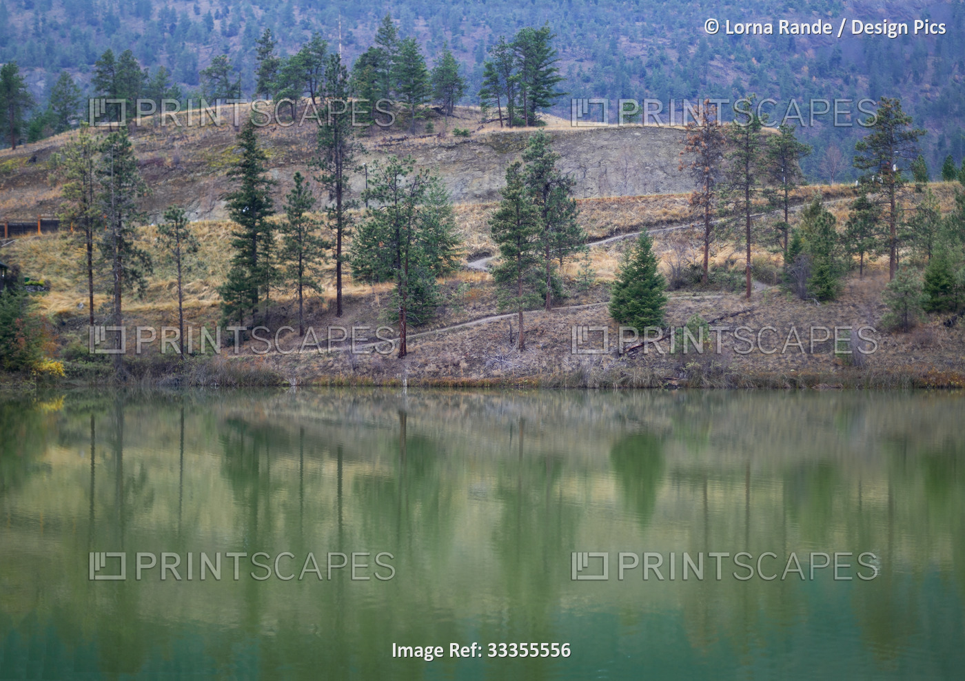 The beauty of Still Pond in Kelowna in the fall; Kelowna, British Columbia, ...