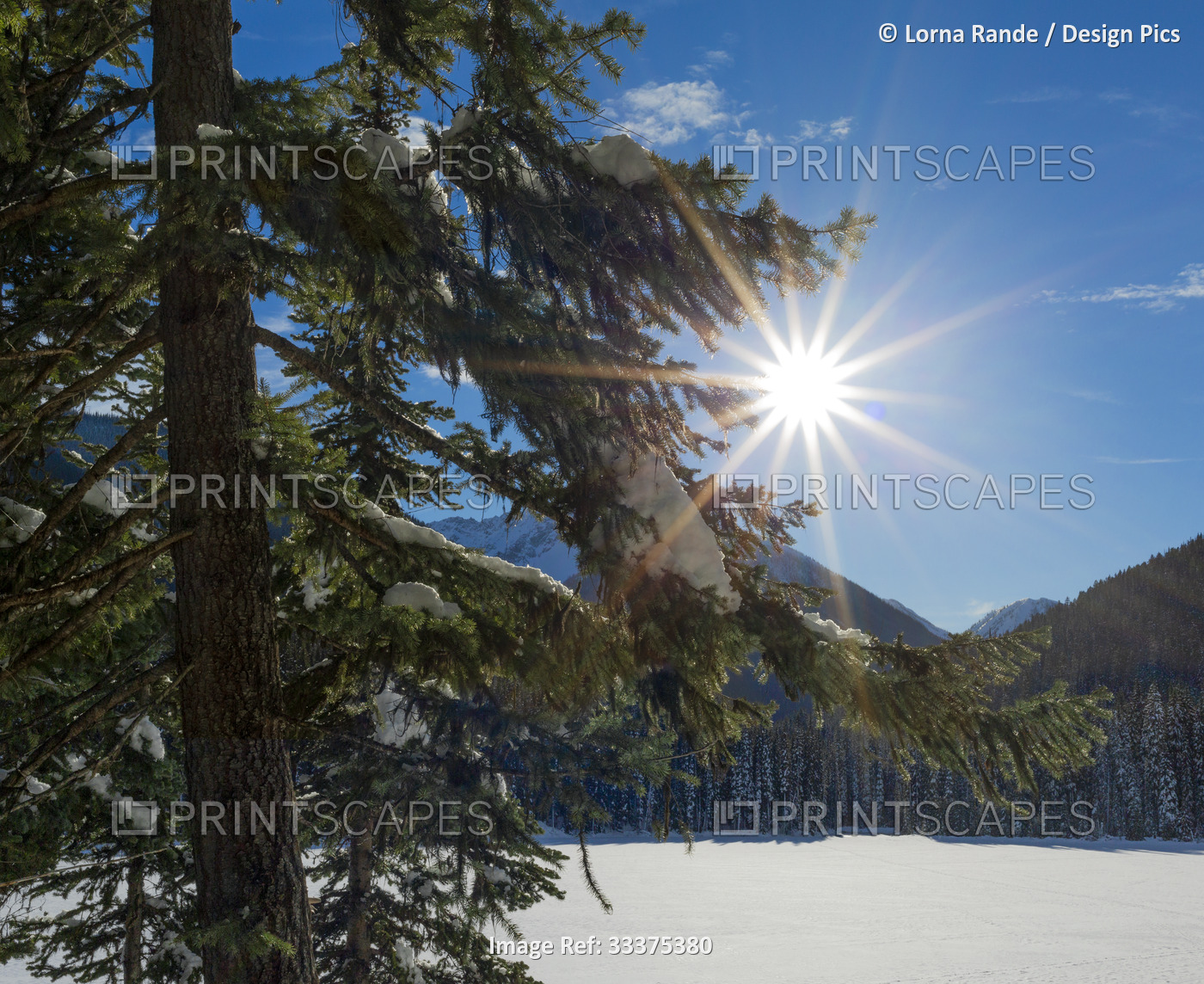 Bright sunburst in a blue sky over the mountains of E.C. Manning Provincial ...