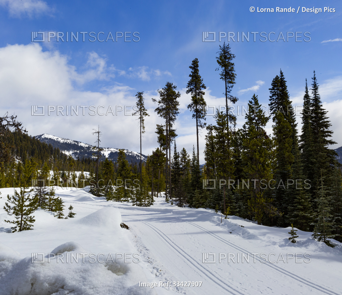 Cross-country ski tracks on the snow at Lightning Lake in E.C. Manning ...