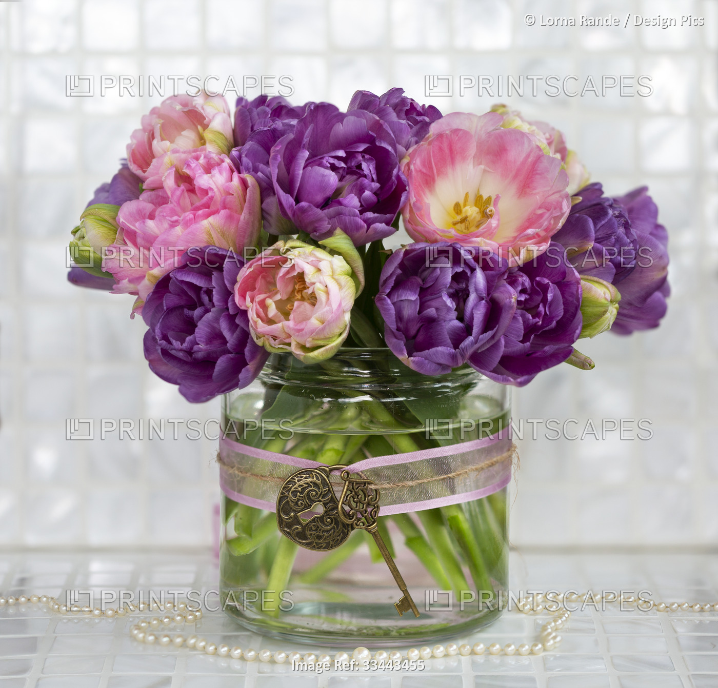 Still life shot of a vase with purple and pink parrot tulips; Studio