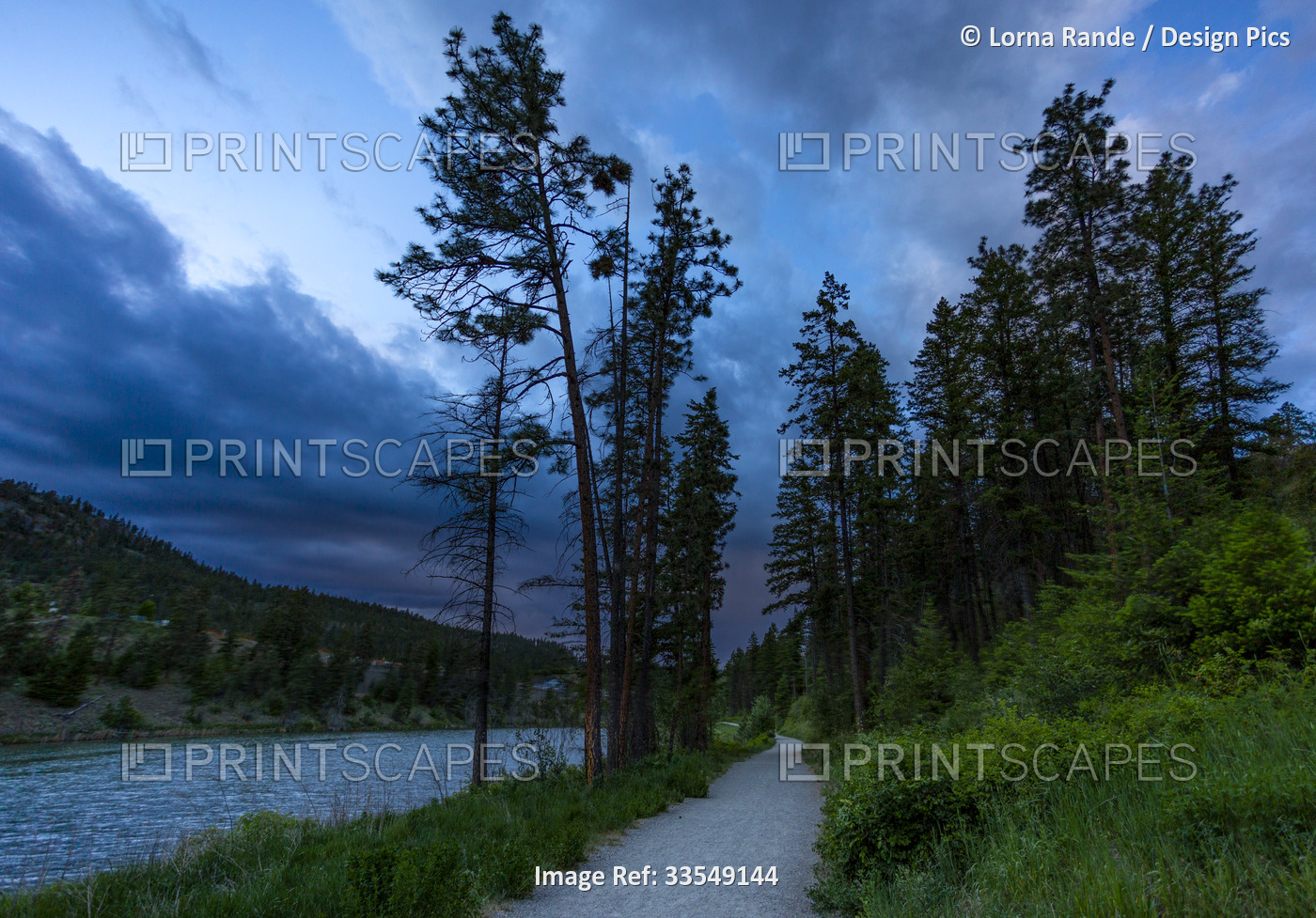 Trail beside still waters in a forested area at dusk; Kelowna, British ...