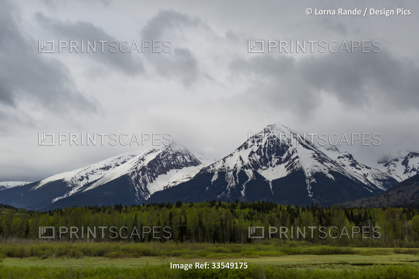 View of snow-capped mountain peaks with forest and wetlands along the drive ...